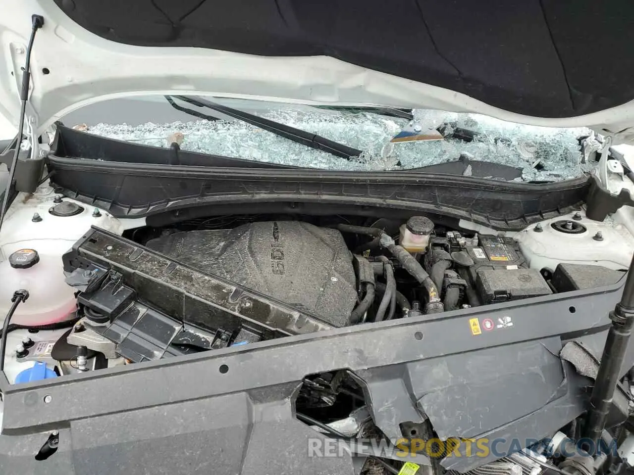 12 Photograph of a damaged car 5NTJBDDE7RH101470 HYUNDAI SANTA CRUZ 2024