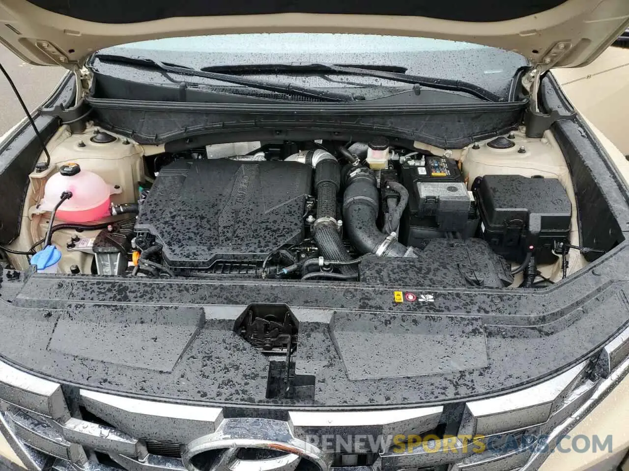 12 Photograph of a damaged car 5NTJDDDF3RH107804 HYUNDAI SANTA CRUZ 2024