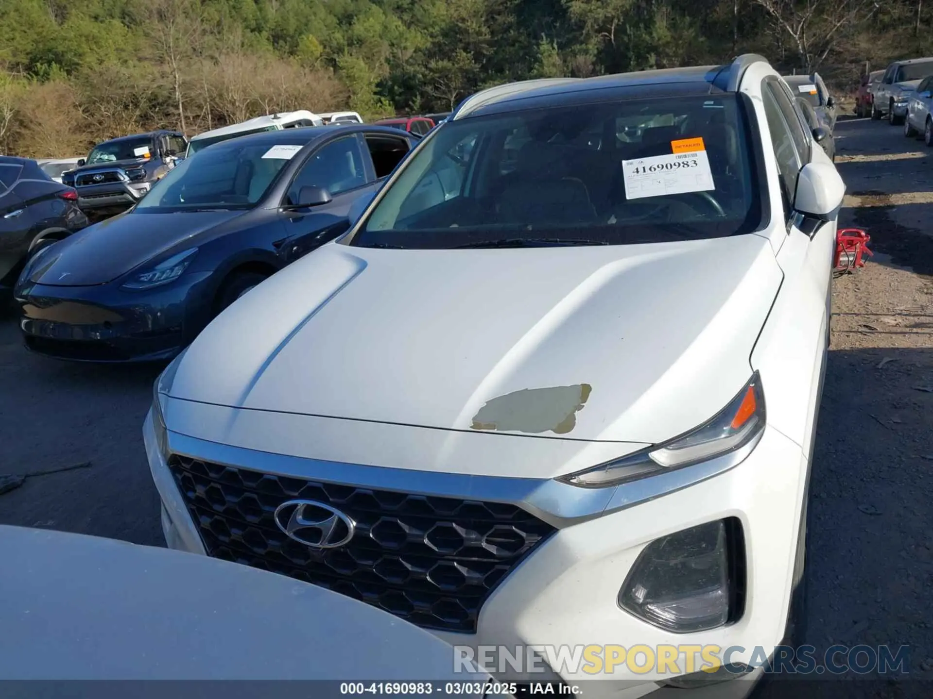 12 Photograph of a damaged car 5NMS53AA3KH051319 HYUNDAI SANTA FE 2019