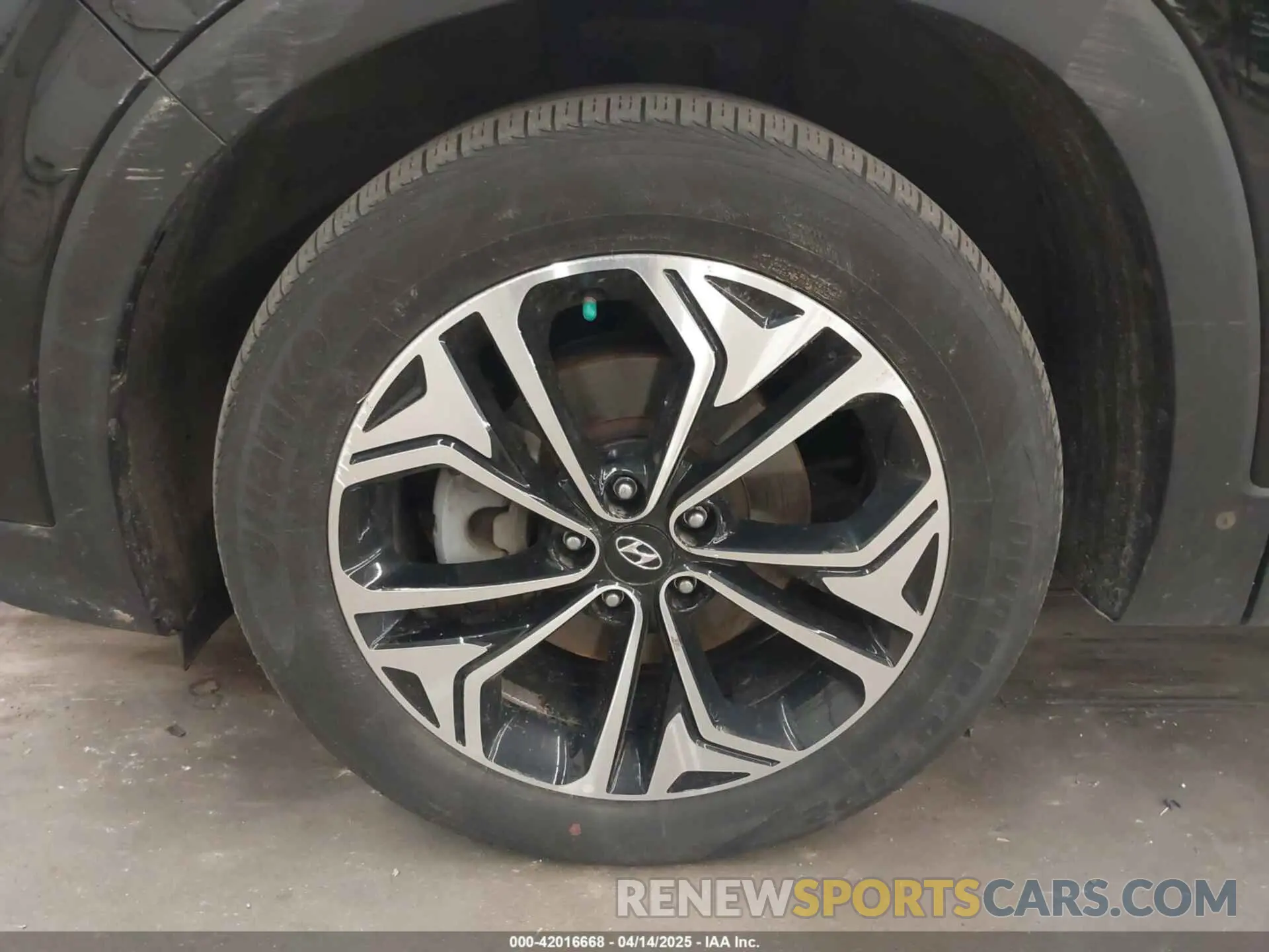 12 Photograph of a damaged car 5NMS5CAA3KH067925 HYUNDAI SANTA FE 2019