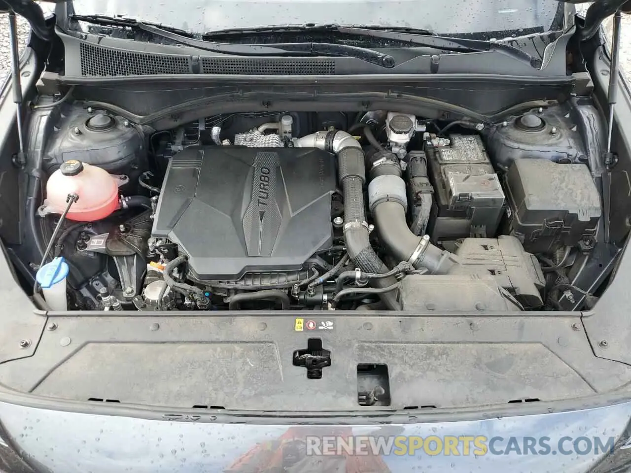 12 Photograph of a damaged car 5NMS5DAL7MH371138 HYUNDAI SANTA FE 2021