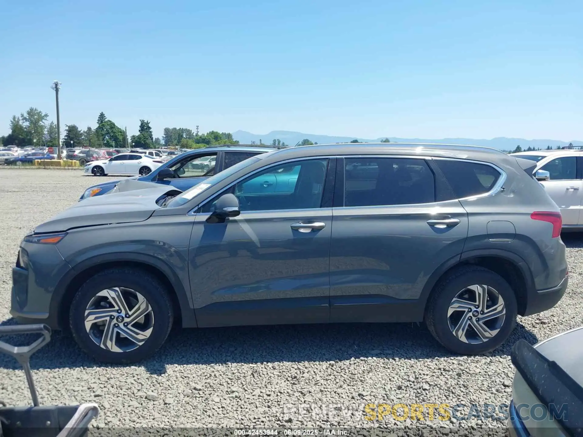 14 Photograph of a damaged car 5NMS24AJ7PH599670 HYUNDAI SANTA FE 2023