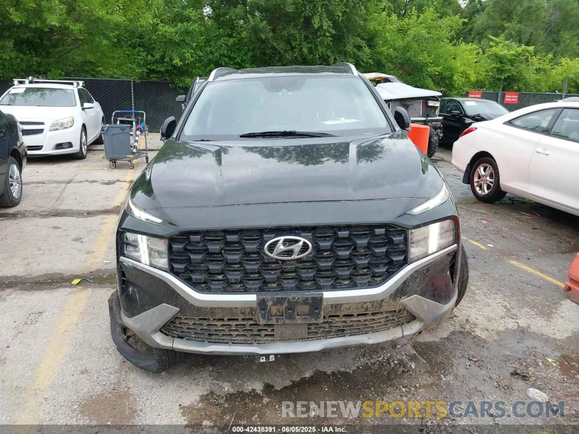 12 Photograph of a damaged car 5NMS2DAJ1PH543952 HYUNDAI SANTA FE 2023