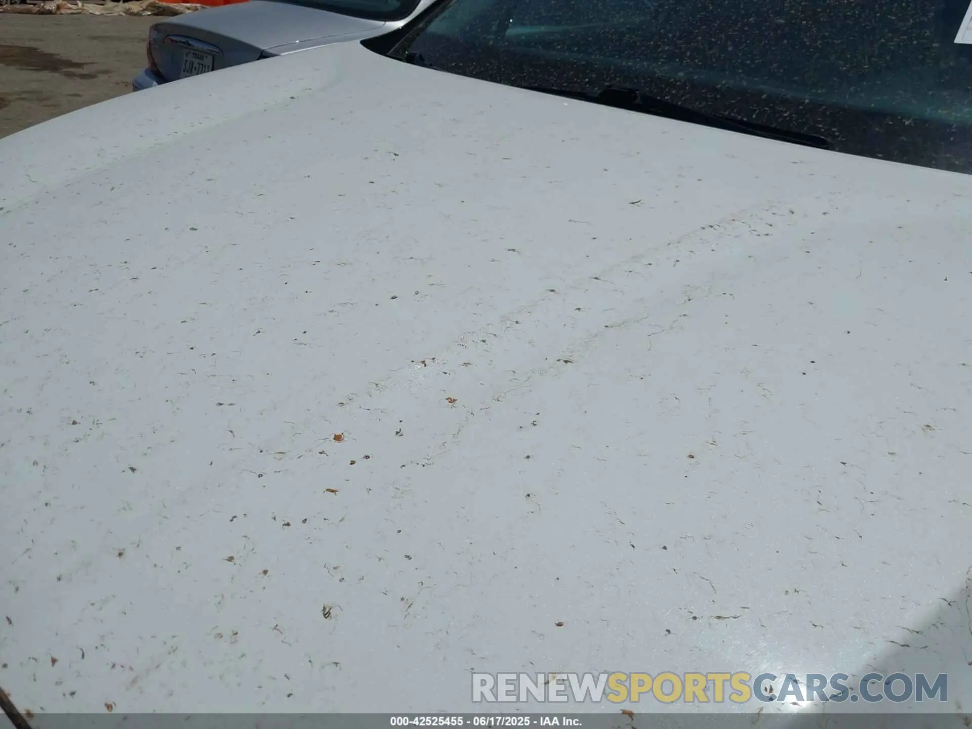6 Photograph of a damaged car 5NMS2DAJ9PH562670 HYUNDAI SANTA FE 2023