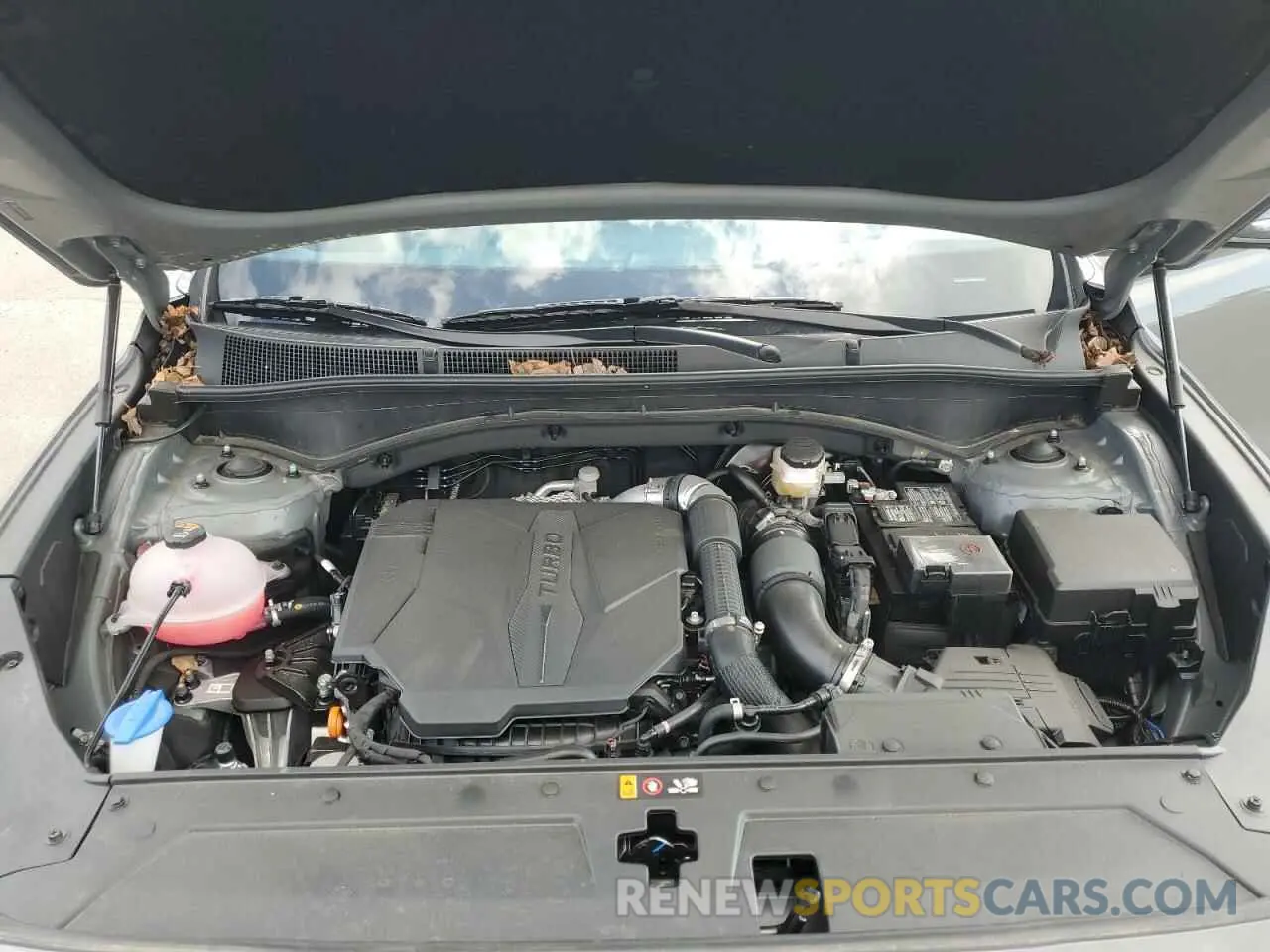 12 Photograph of a damaged car 5NMS5DAL3PH658531 HYUNDAI SANTA FE 2023