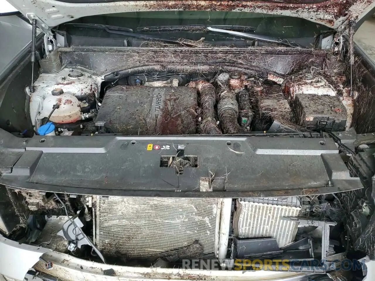12 Photograph of a damaged car 5NMP2DGL6RH031234 HYUNDAI SANTA FE 2024