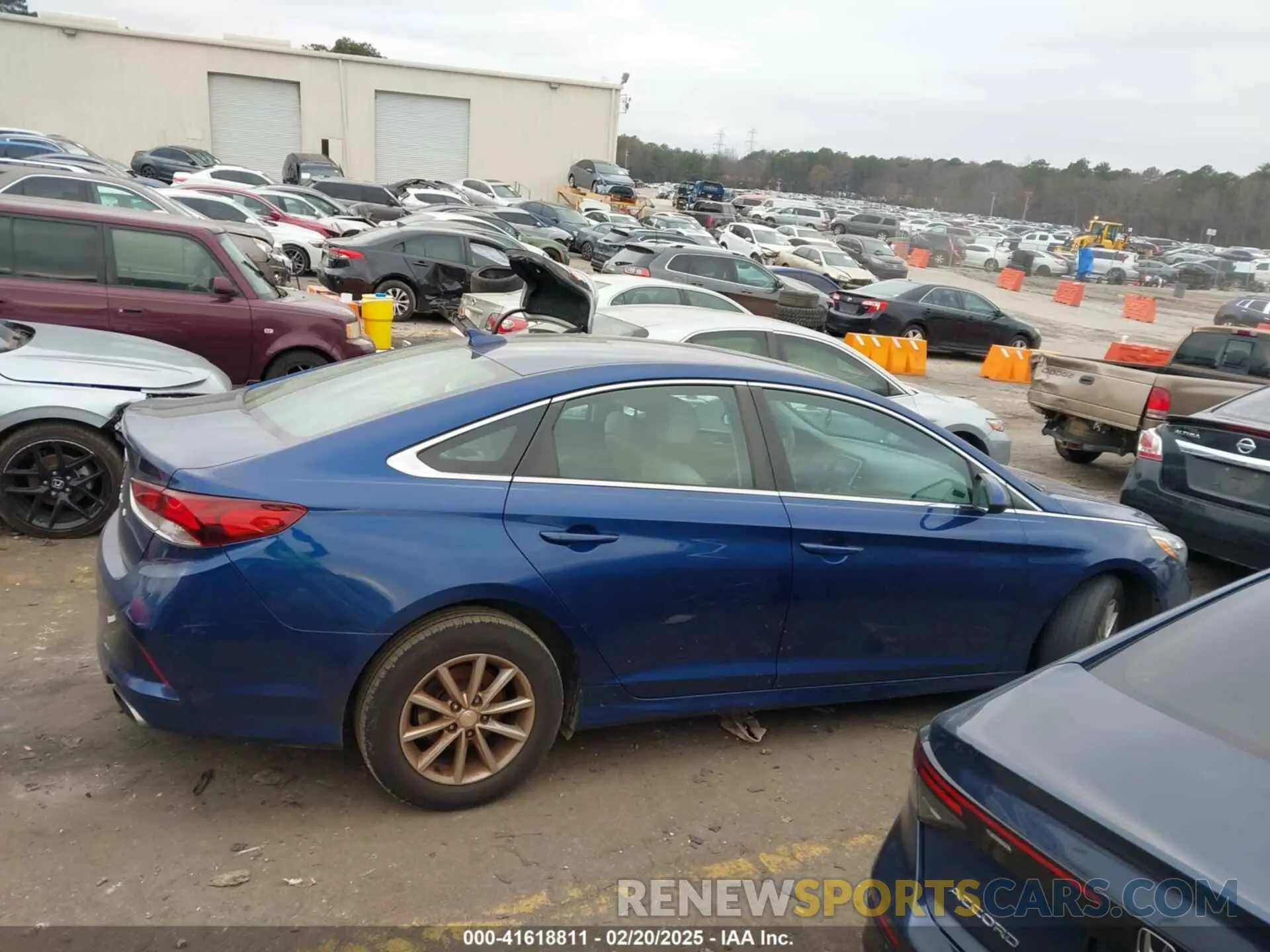 12 Photograph of a damaged car 5NPE24AF0KH737313 HYUNDAI SONATA 2019