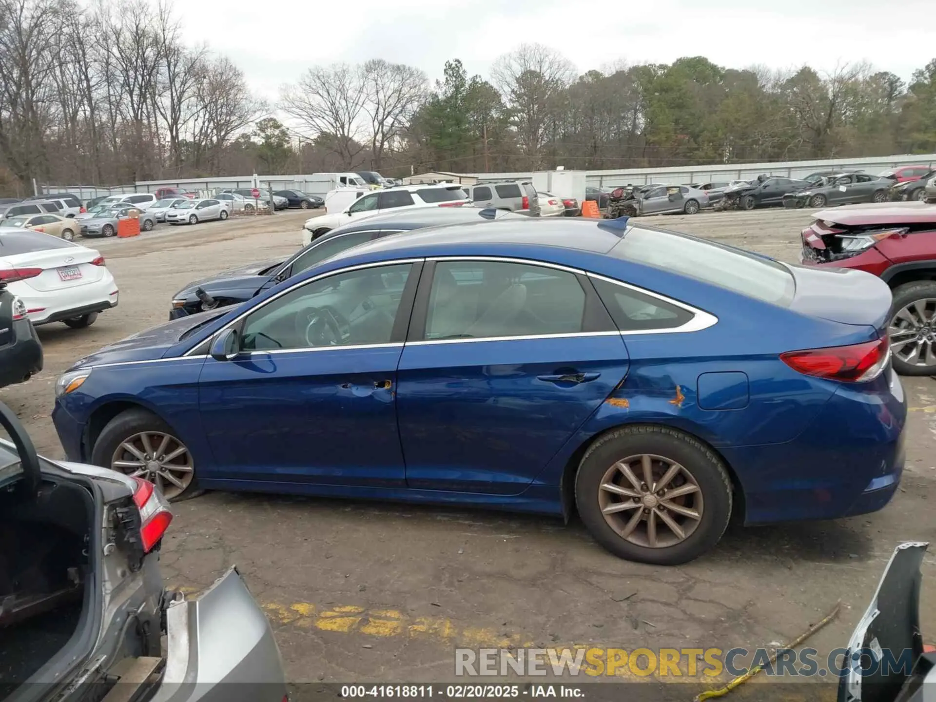 13 Photograph of a damaged car 5NPE24AF0KH737313 HYUNDAI SONATA 2019