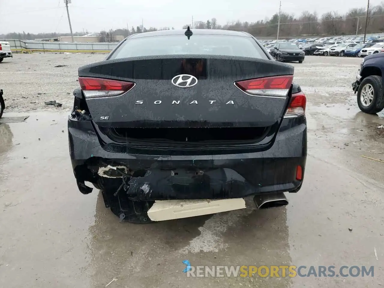 6 Photograph of a damaged car 5NPE24AF0KH742088 HYUNDAI SONATA 2019