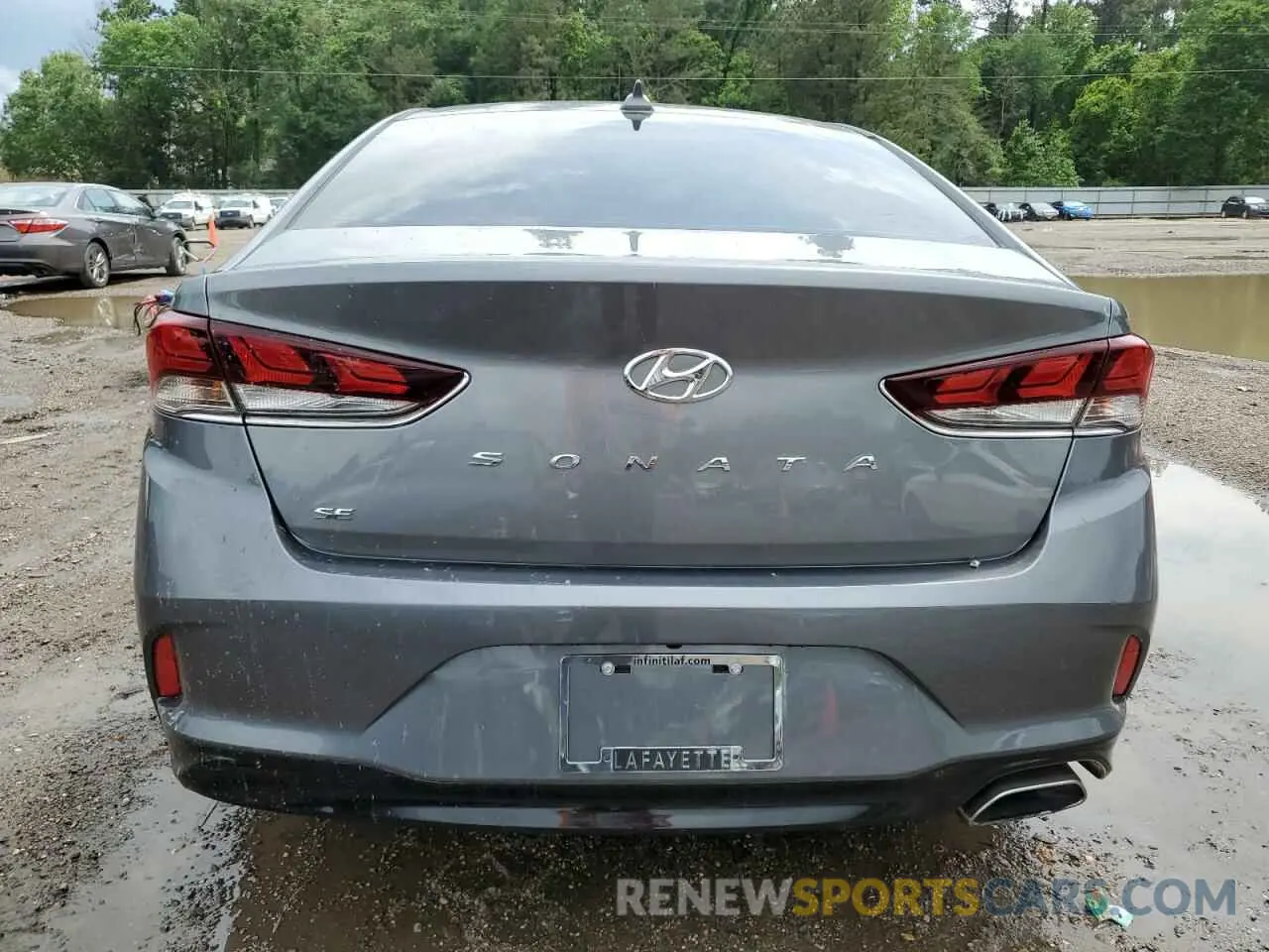 6 Photograph of a damaged car 5NPE24AF0KH744780 HYUNDAI SONATA 2019