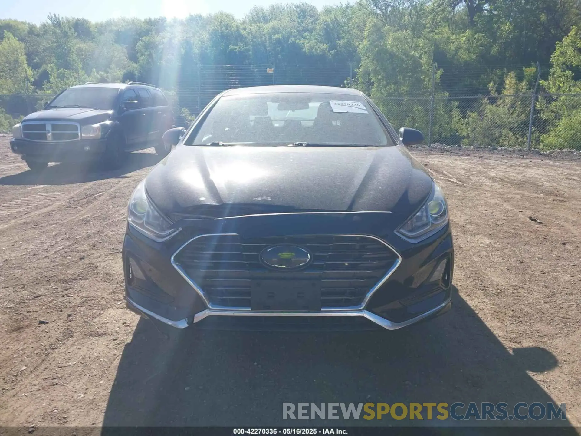 13 Photograph of a damaged car 5NPE24AF0KH746755 HYUNDAI SONATA 2019