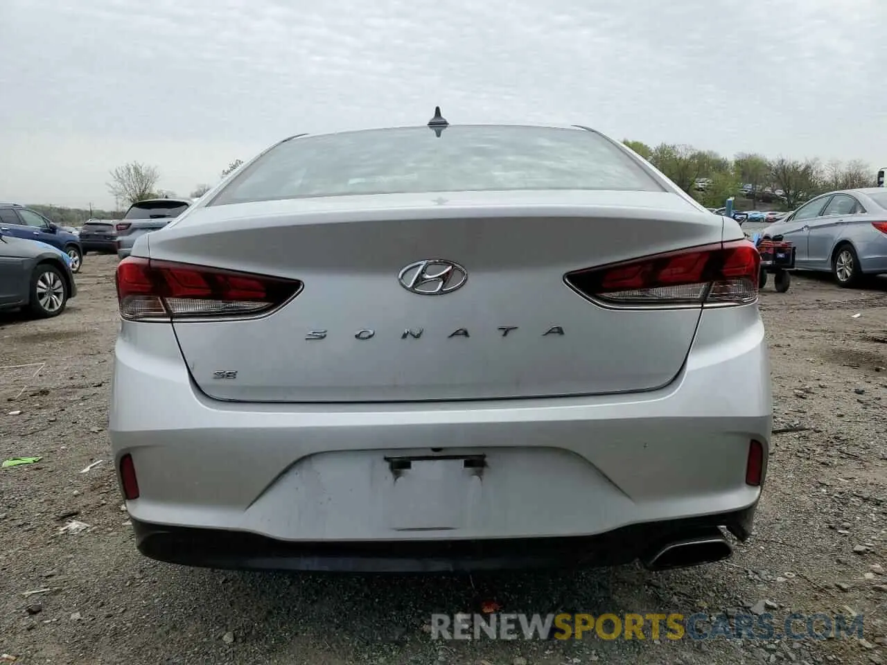 6 Photograph of a damaged car 5NPE24AF0KH754130 HYUNDAI SONATA 2019