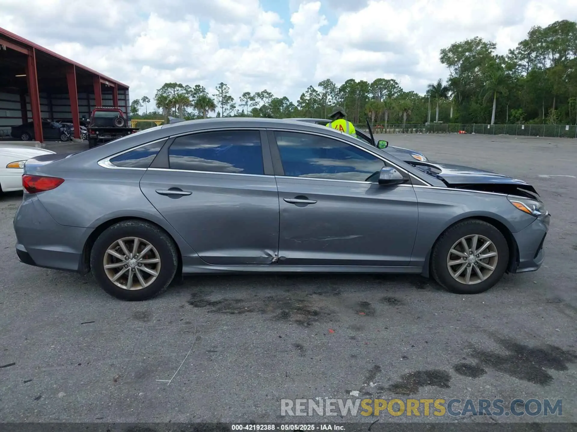 13 Photograph of a damaged car 5NPE24AF0KH771140 HYUNDAI SONATA 2019