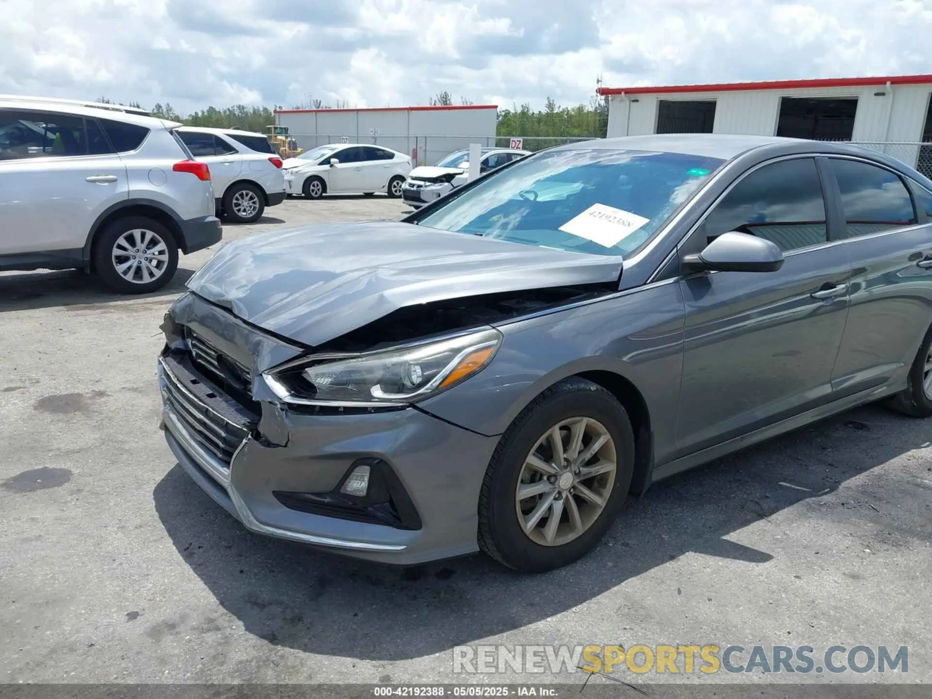 6 Photograph of a damaged car 5NPE24AF0KH771140 HYUNDAI SONATA 2019