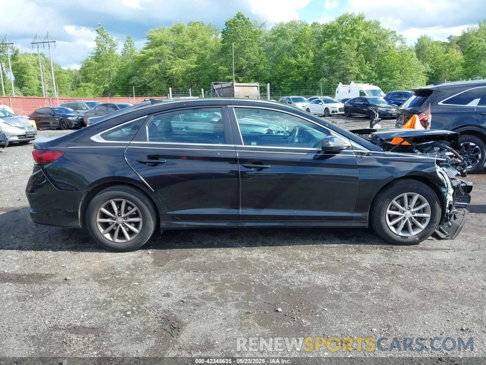 13 Photograph of a damaged car 5NPE24AF0KH776953 HYUNDAI SONATA 2019