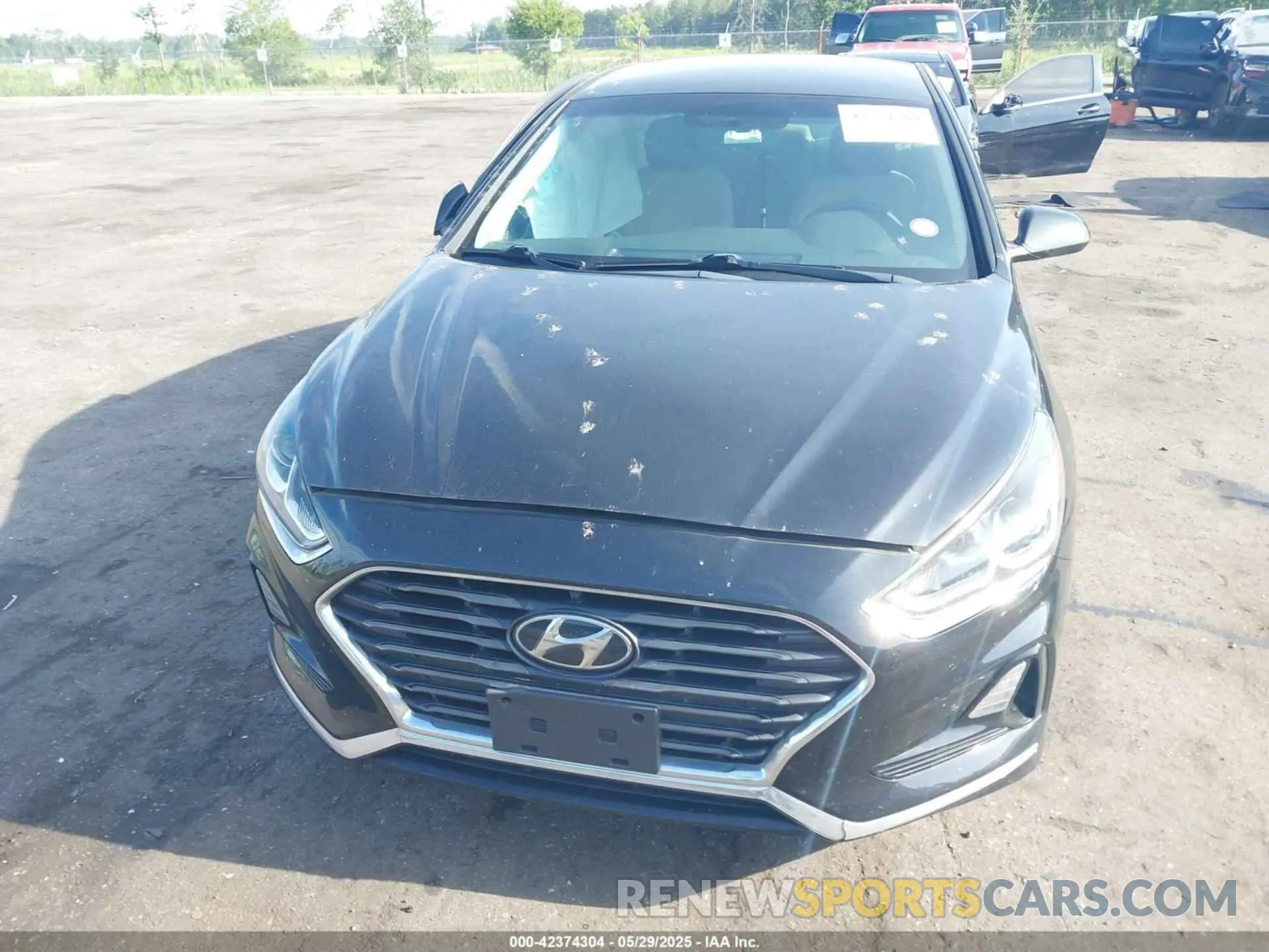 12 Photograph of a damaged car 5NPE24AF0KH792621 HYUNDAI SONATA 2019
