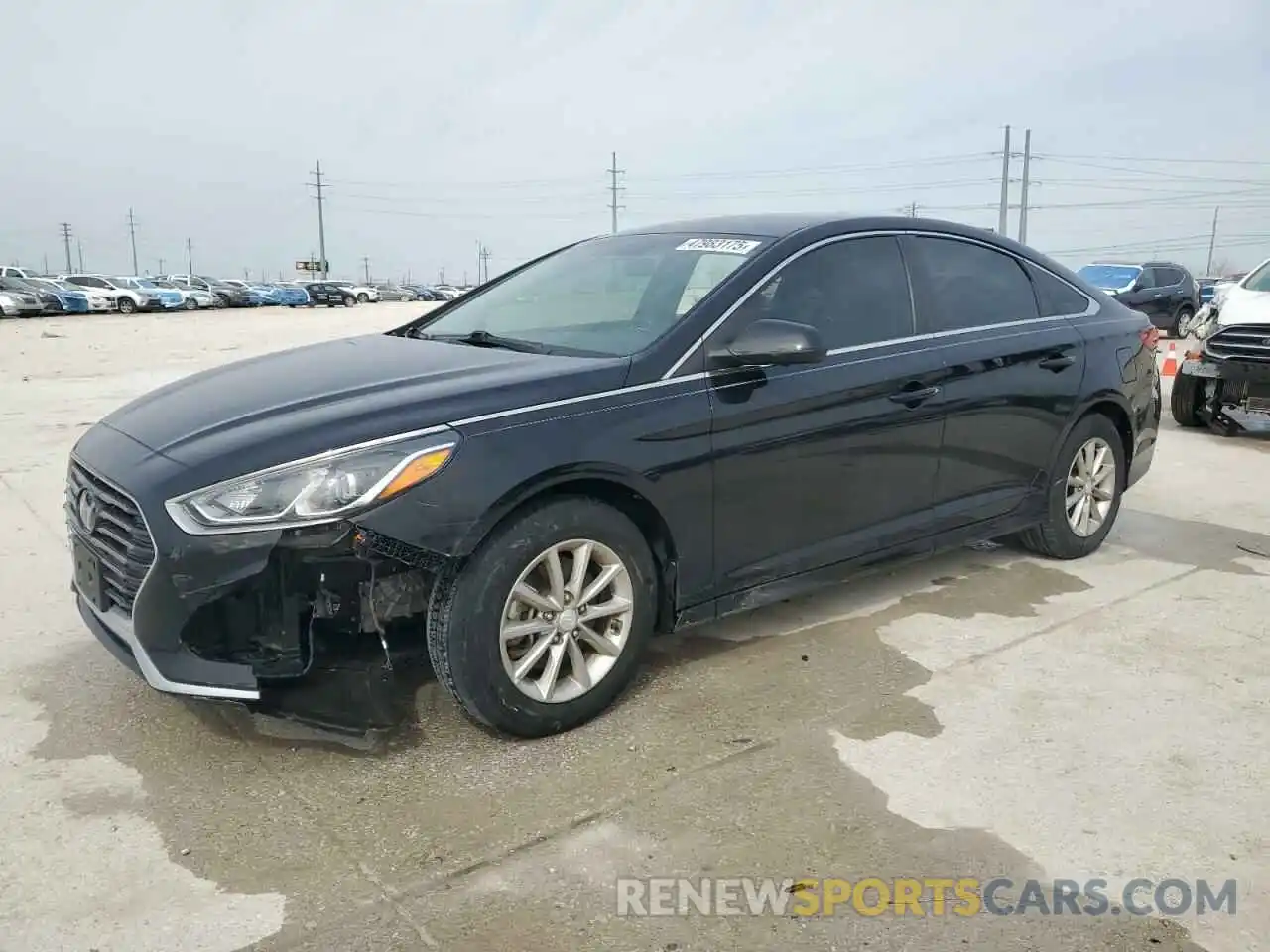 1 Photograph of a damaged car 5NPE24AF1KH750507 HYUNDAI SONATA 2019