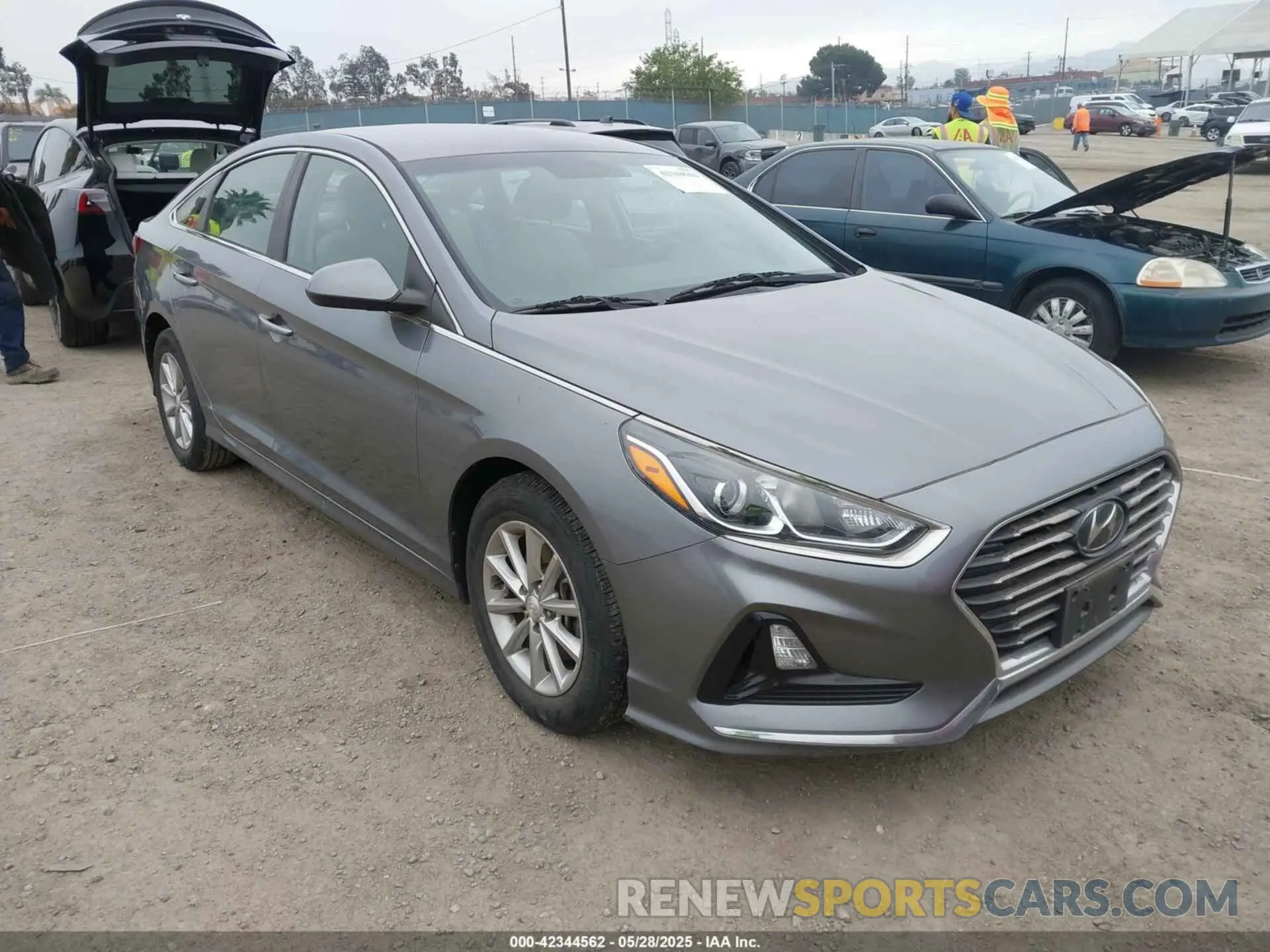 1 Photograph of a damaged car 5NPE24AF1KH758946 HYUNDAI SONATA 2019