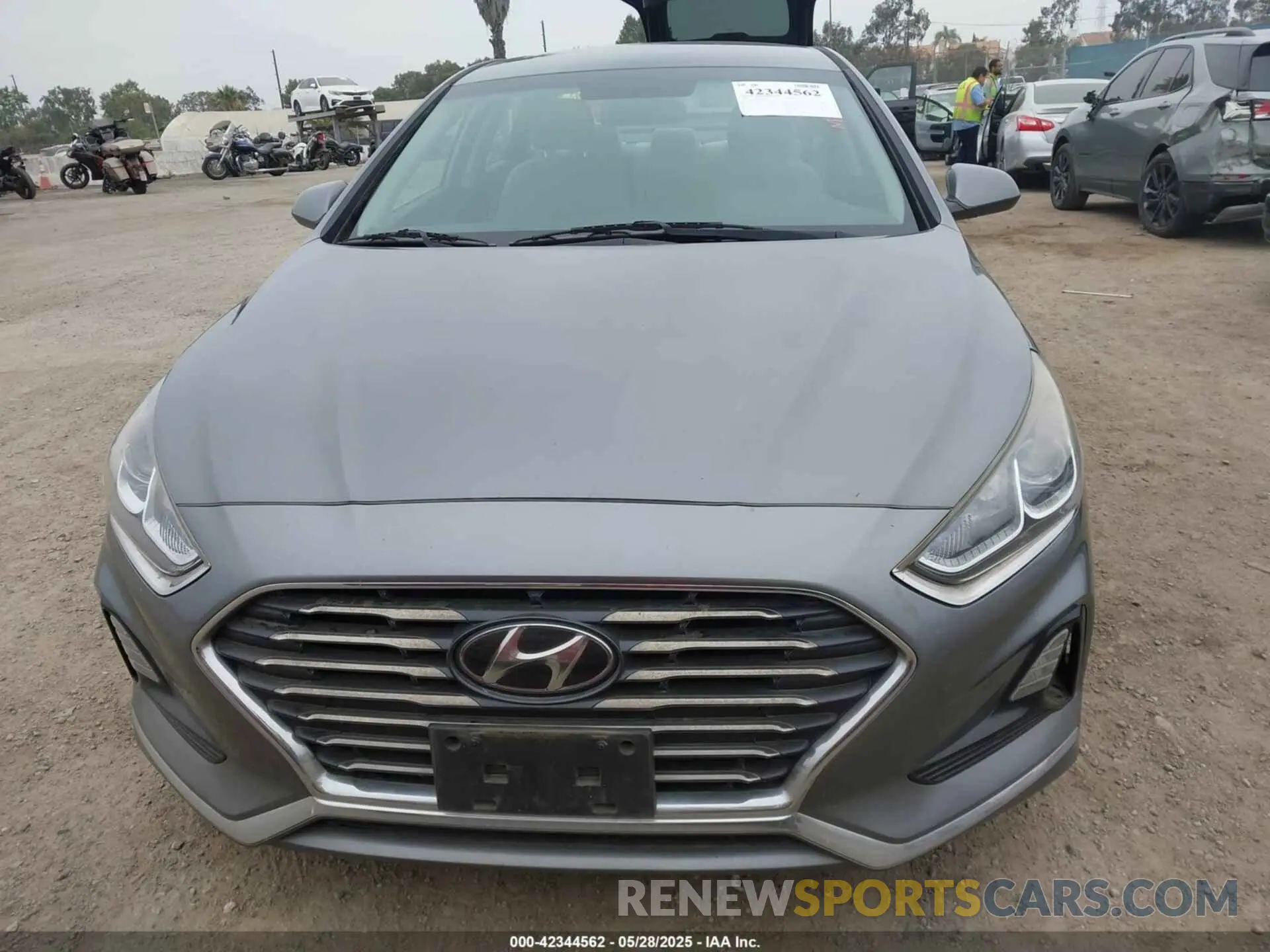 12 Photograph of a damaged car 5NPE24AF1KH758946 HYUNDAI SONATA 2019