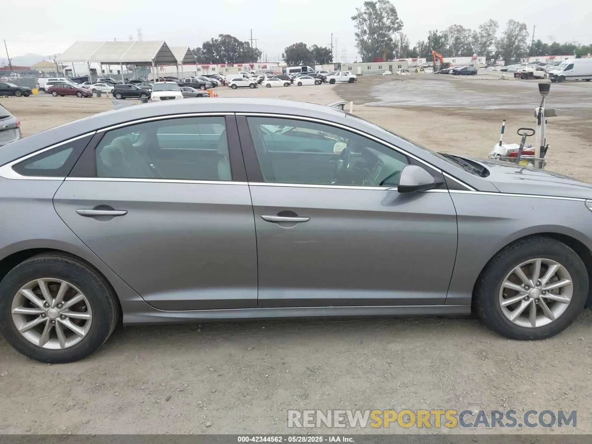 13 Photograph of a damaged car 5NPE24AF1KH758946 HYUNDAI SONATA 2019
