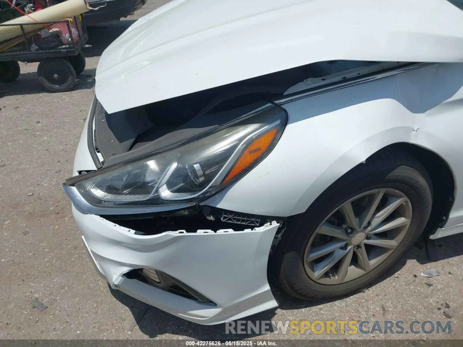 6 Photograph of a damaged car 5NPE24AF1KH774158 HYUNDAI SONATA 2019