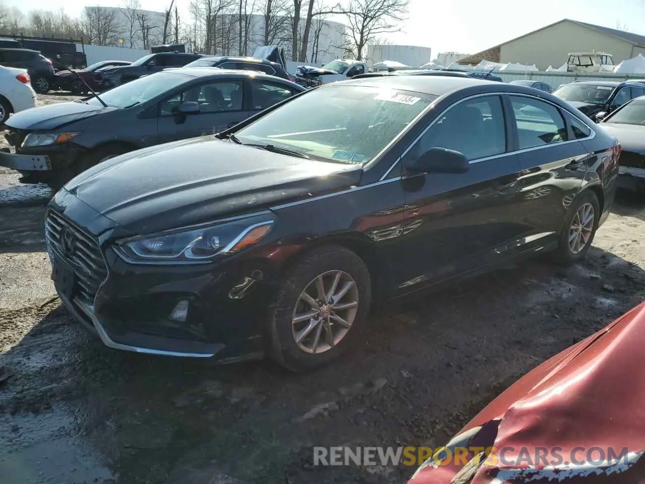 1 Photograph of a damaged car 5NPE24AF1KH779604 HYUNDAI SONATA 2019