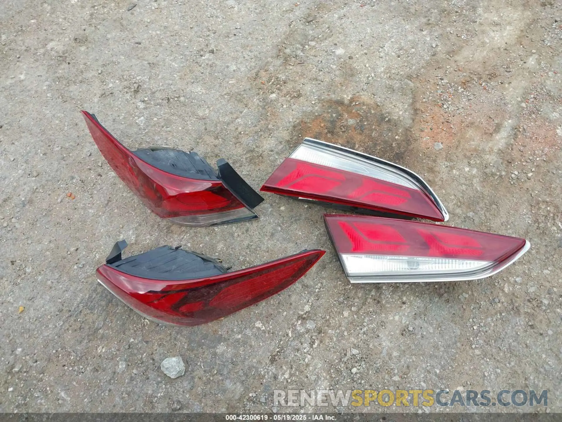 12 Photograph of a damaged car 5NPE24AF1KH804288 HYUNDAI SONATA 2019