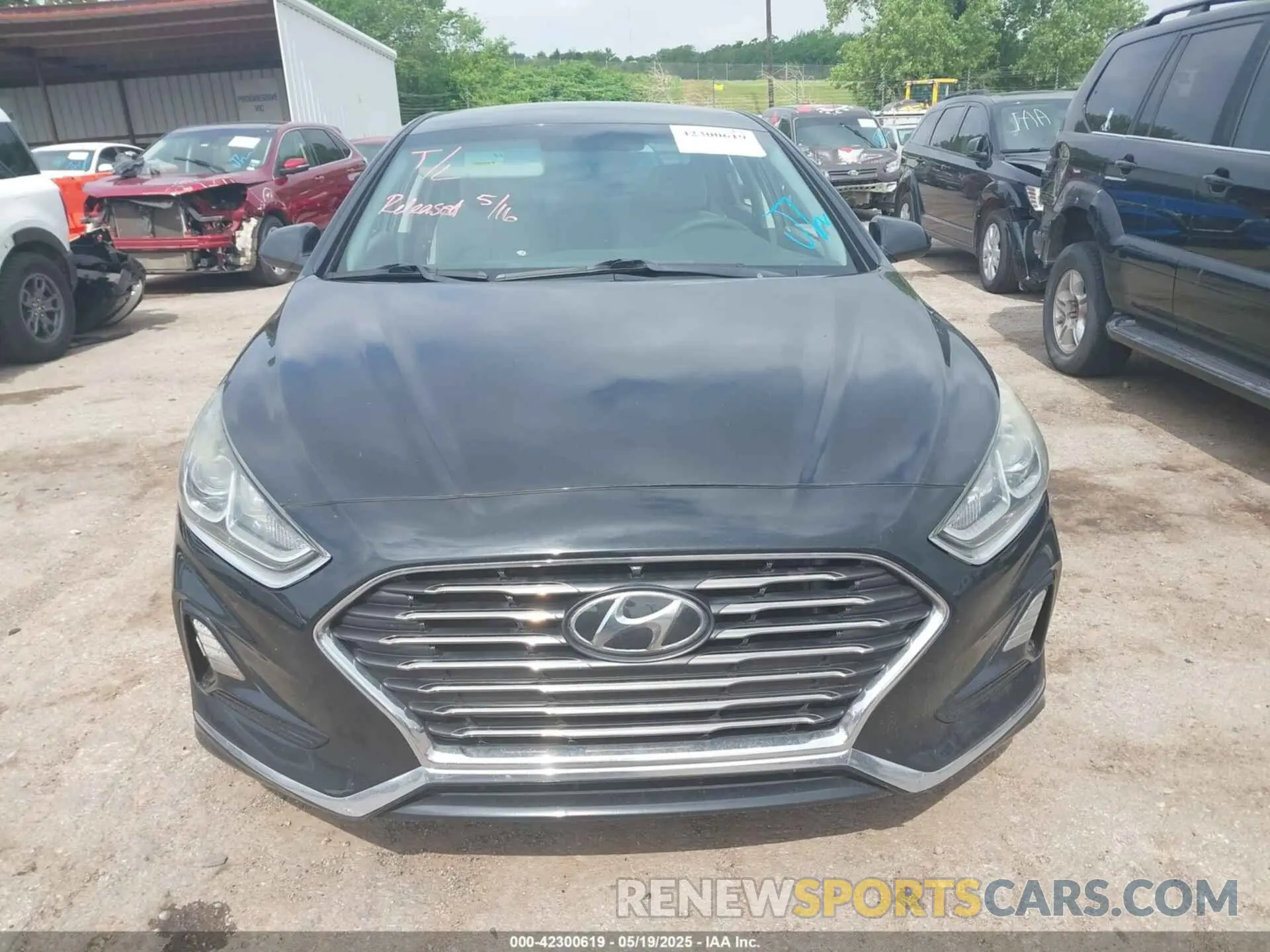 13 Photograph of a damaged car 5NPE24AF1KH804288 HYUNDAI SONATA 2019
