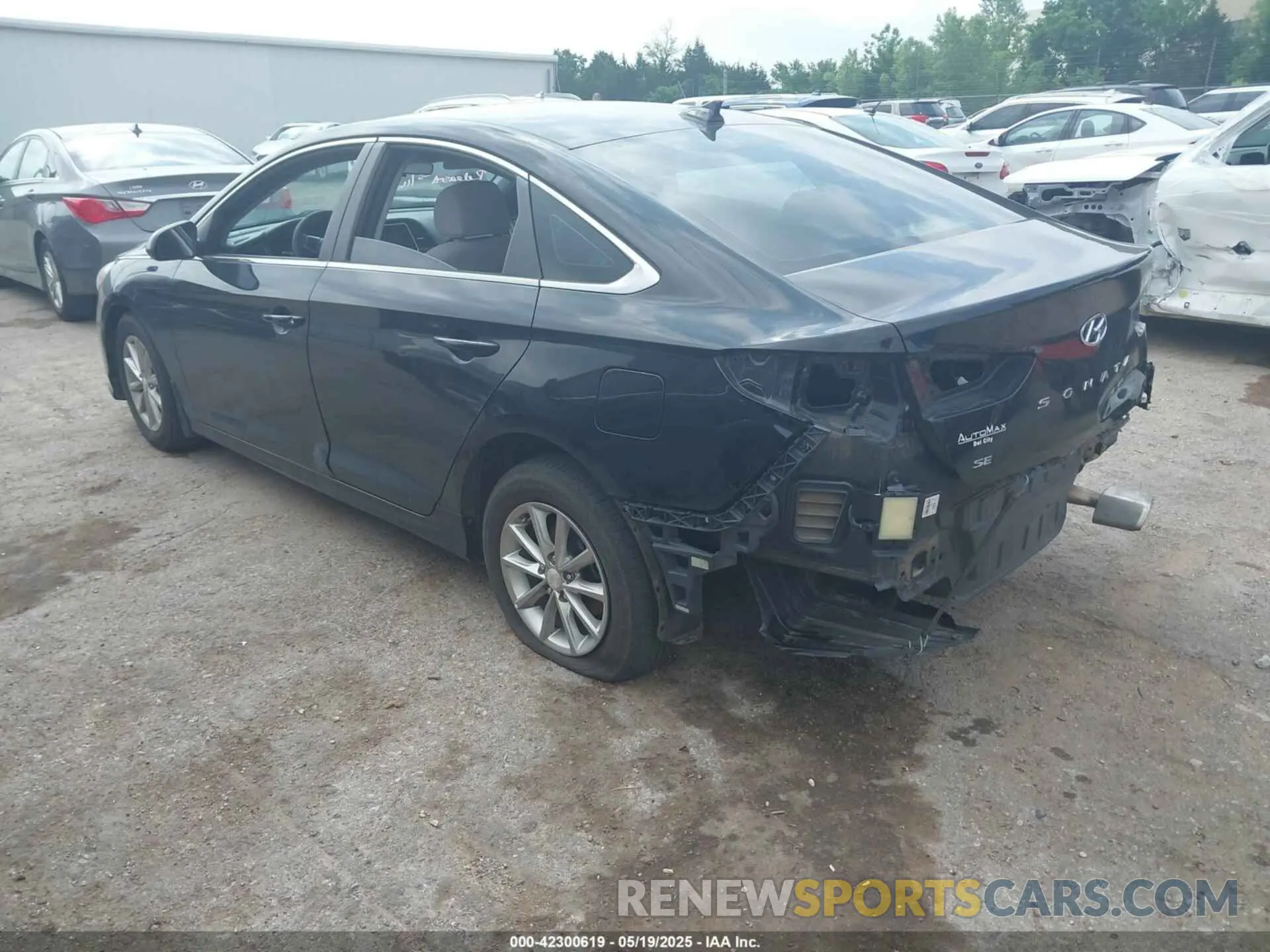 3 Photograph of a damaged car 5NPE24AF1KH804288 HYUNDAI SONATA 2019