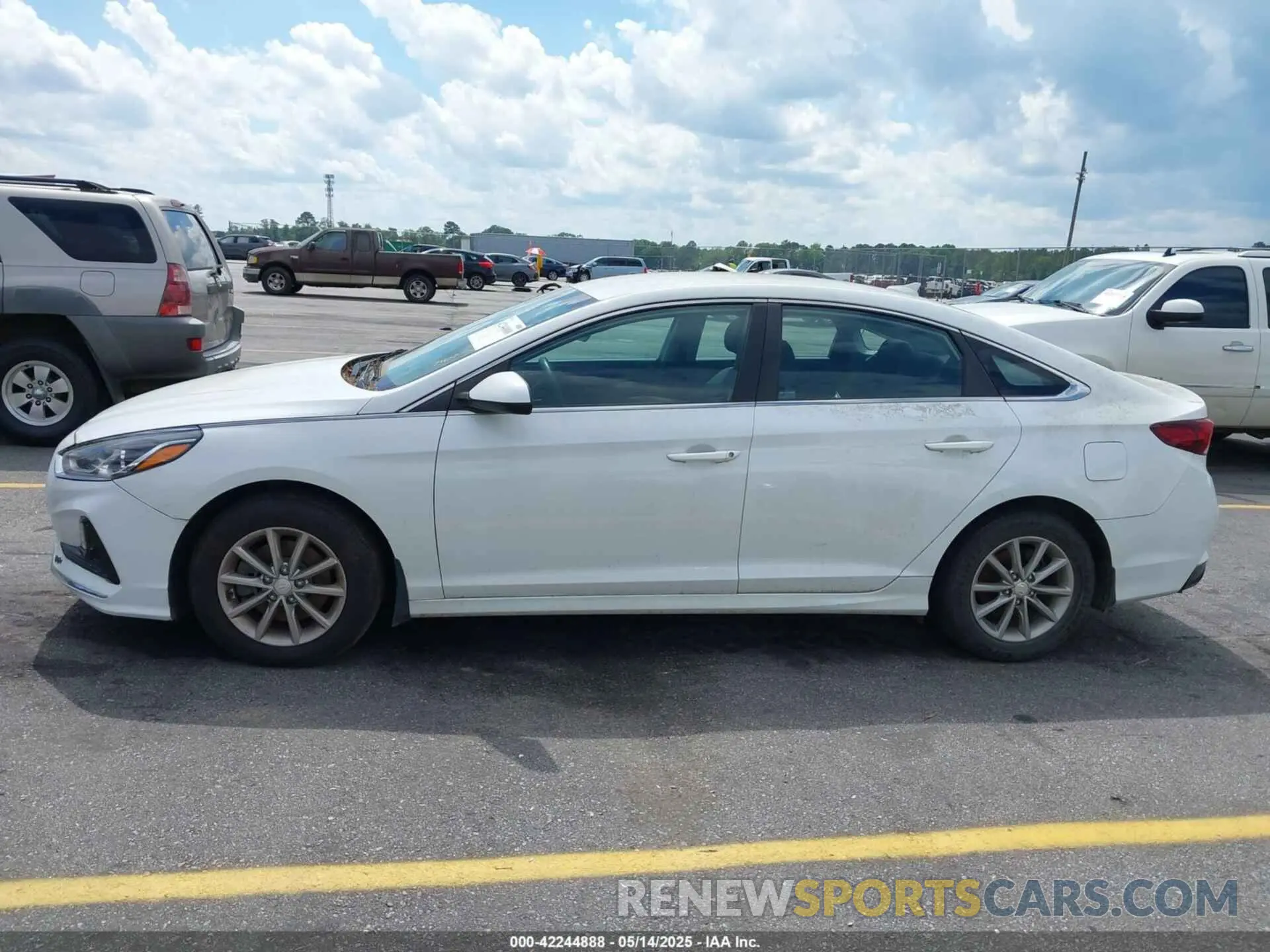 13 Photograph of a damaged car 5NPE24AF2KH740200 HYUNDAI SONATA 2019
