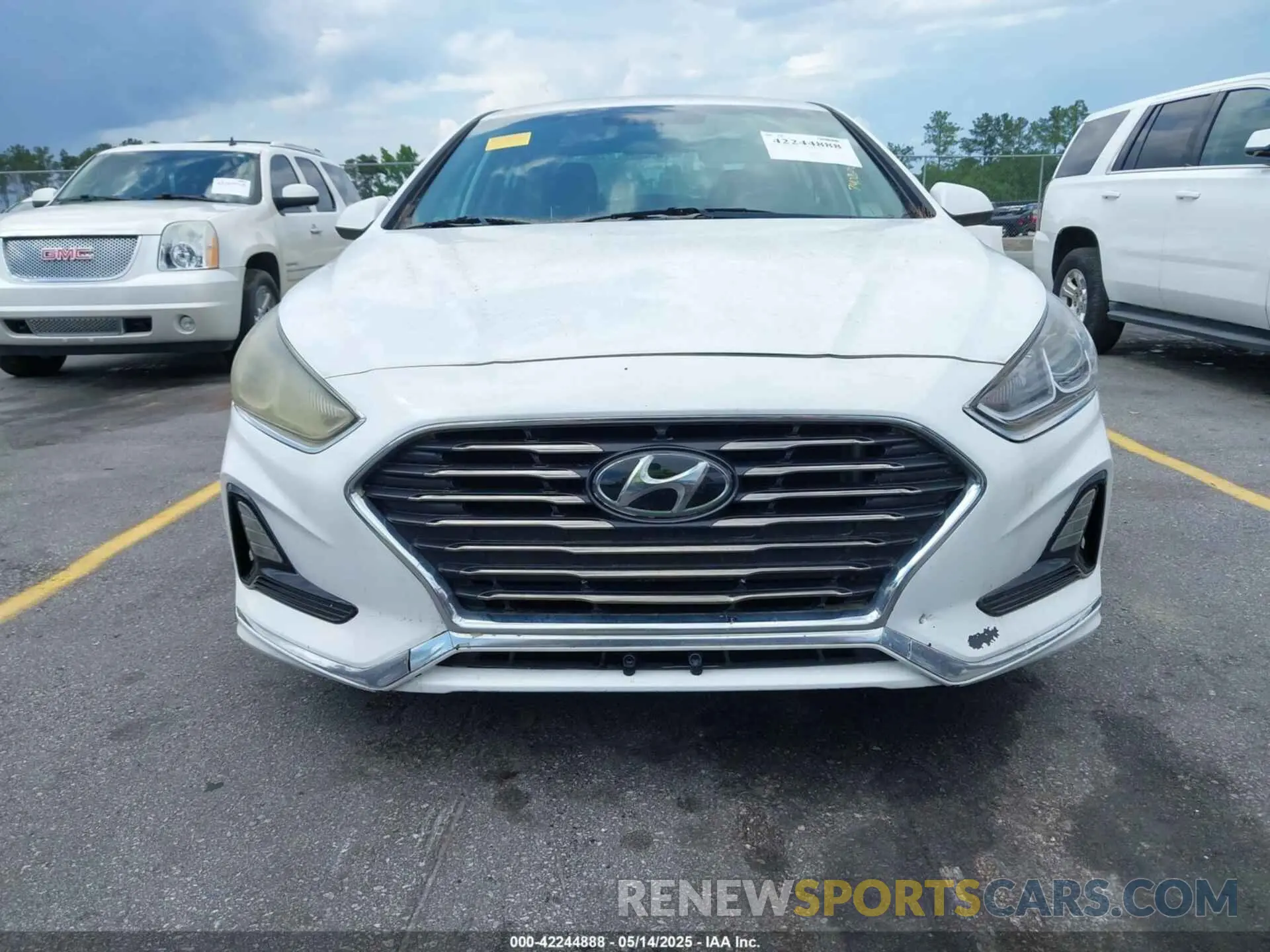 6 Photograph of a damaged car 5NPE24AF2KH740200 HYUNDAI SONATA 2019