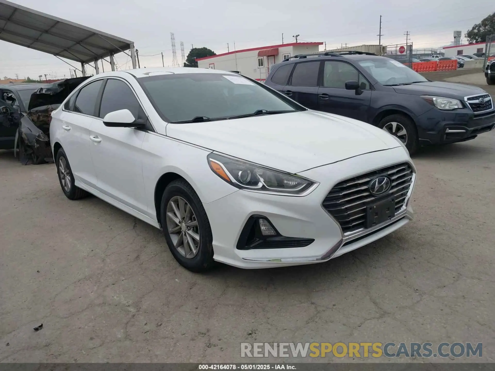 1 Photograph of a damaged car 5NPE24AF2KH753870 HYUNDAI SONATA 2019