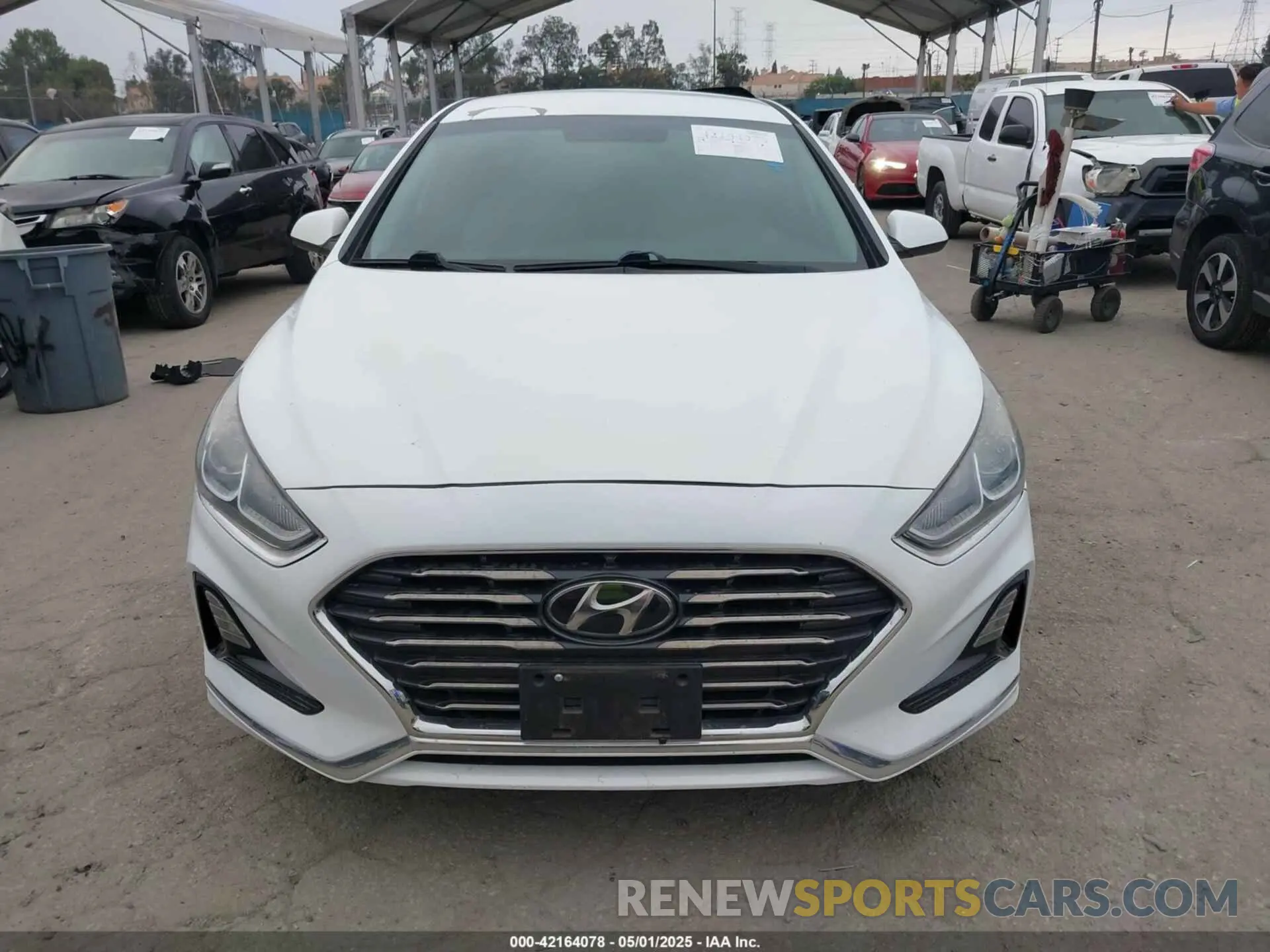 12 Photograph of a damaged car 5NPE24AF2KH753870 HYUNDAI SONATA 2019
