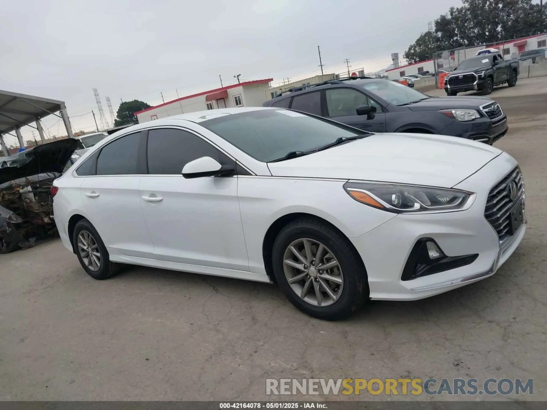 13 Photograph of a damaged car 5NPE24AF2KH753870 HYUNDAI SONATA 2019