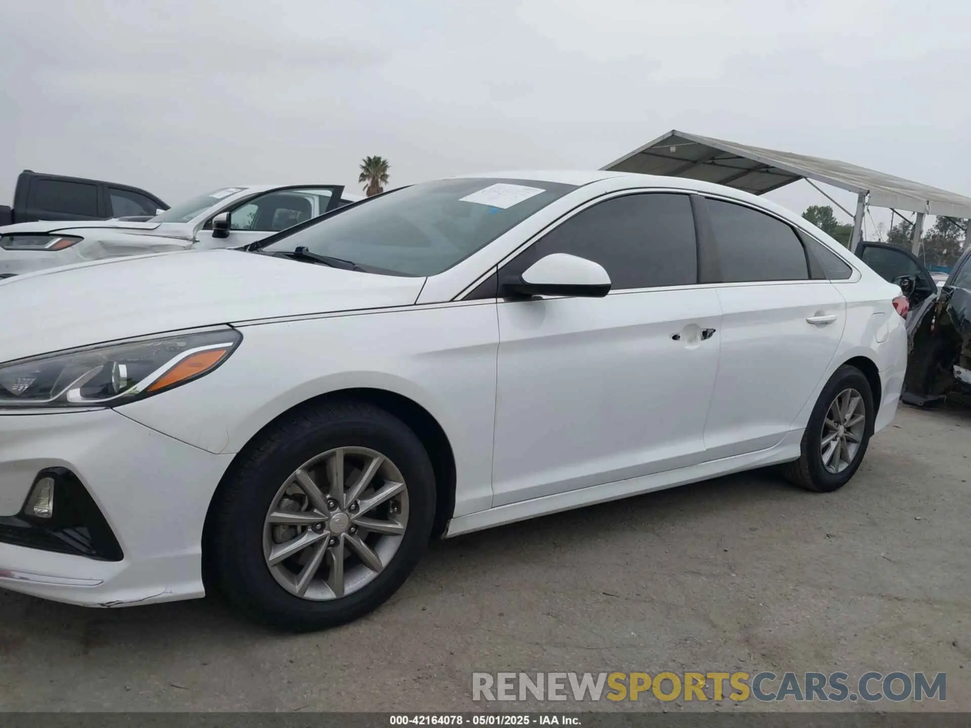 14 Photograph of a damaged car 5NPE24AF2KH753870 HYUNDAI SONATA 2019