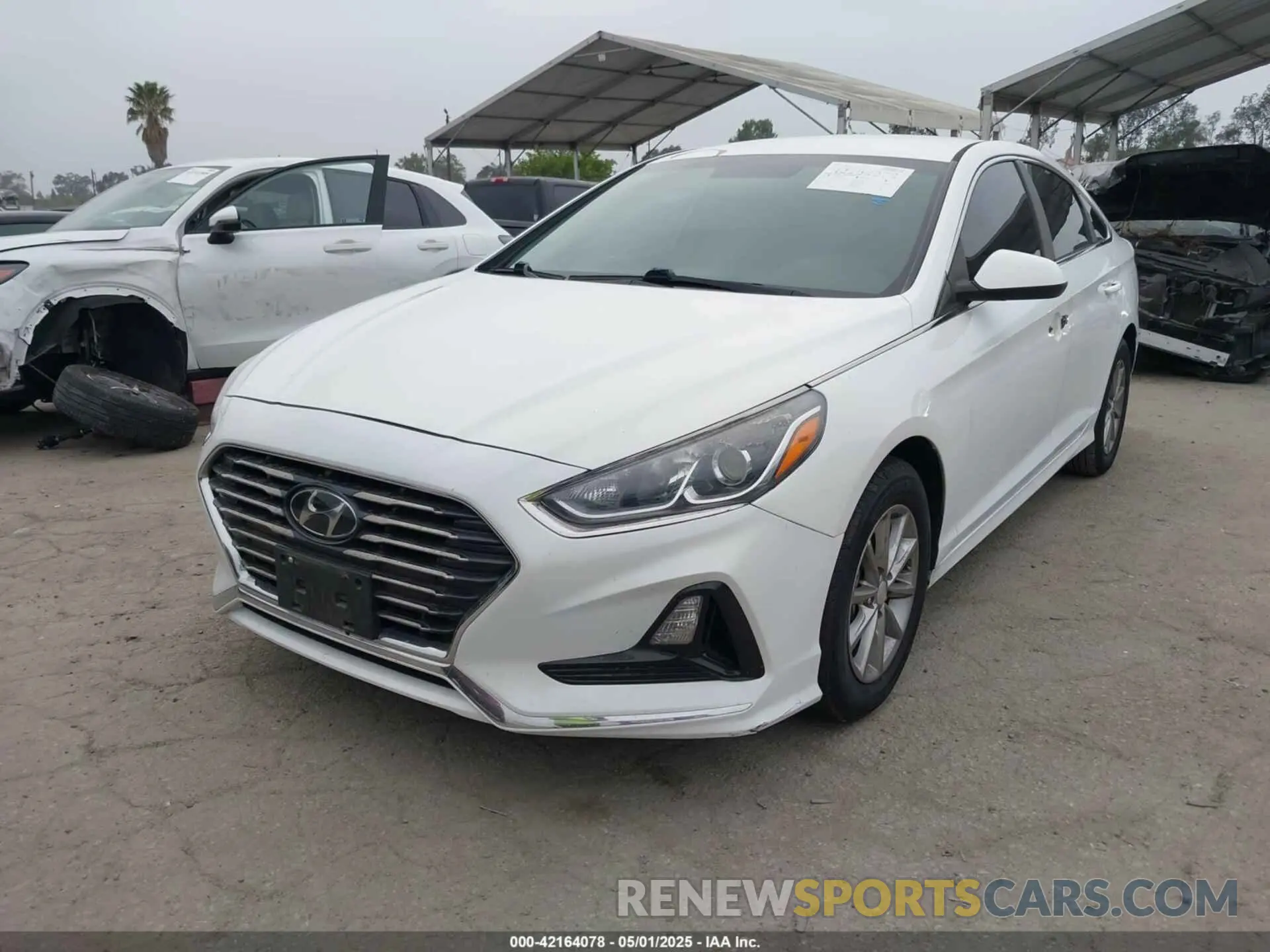 2 Photograph of a damaged car 5NPE24AF2KH753870 HYUNDAI SONATA 2019