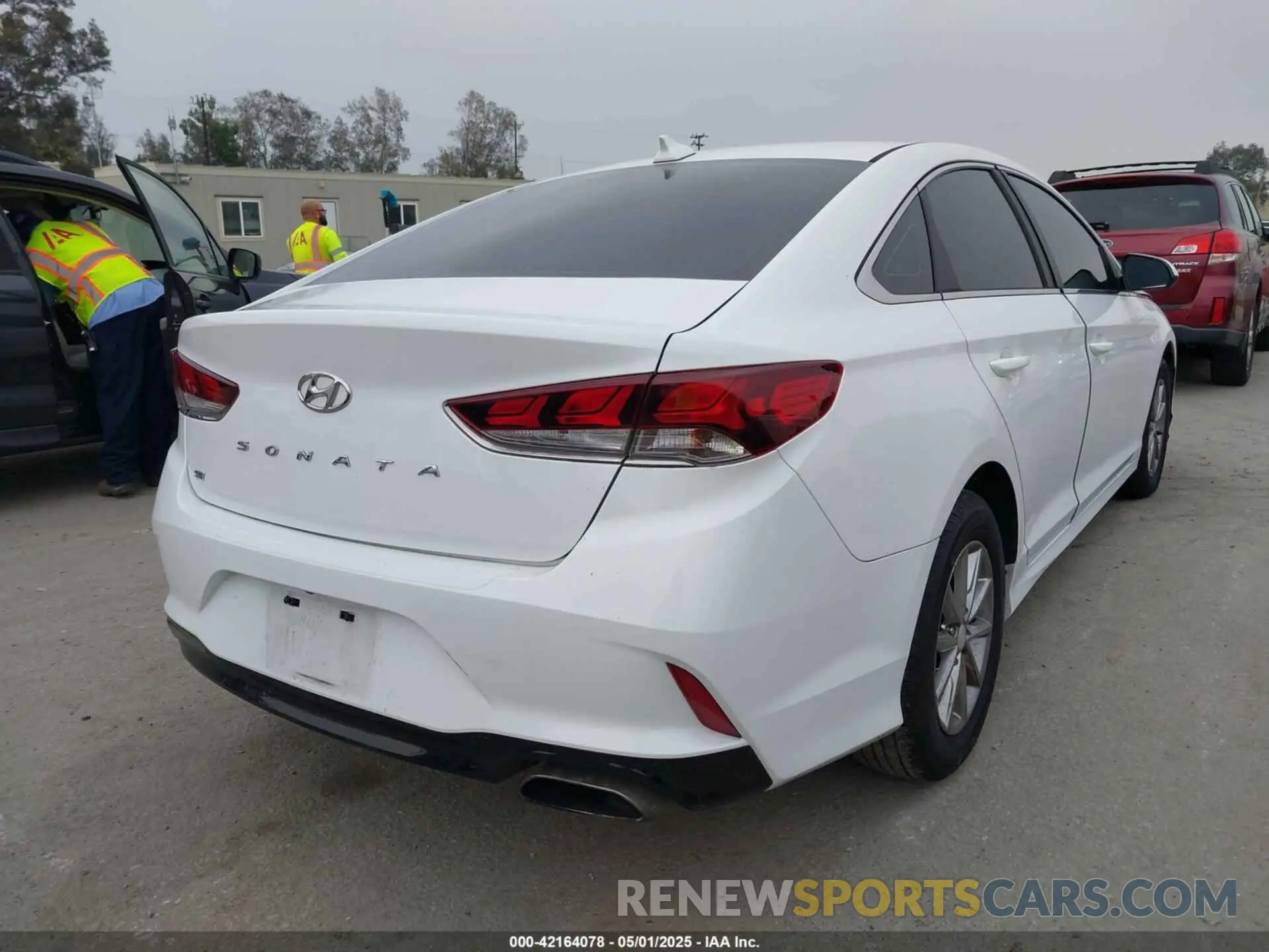 4 Photograph of a damaged car 5NPE24AF2KH753870 HYUNDAI SONATA 2019
