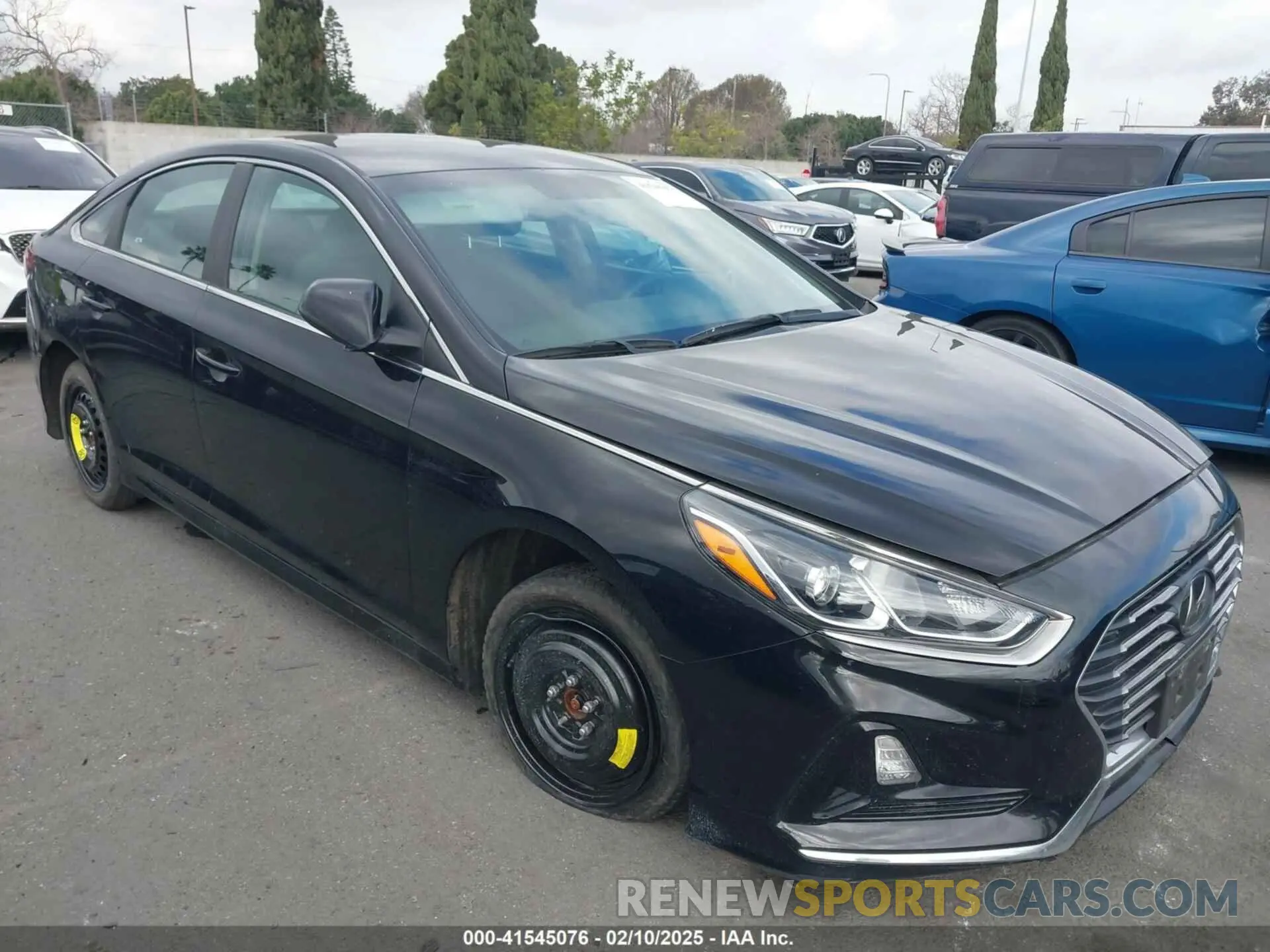 12 Photograph of a damaged car 5NPE24AF2KH769003 HYUNDAI SONATA 2019