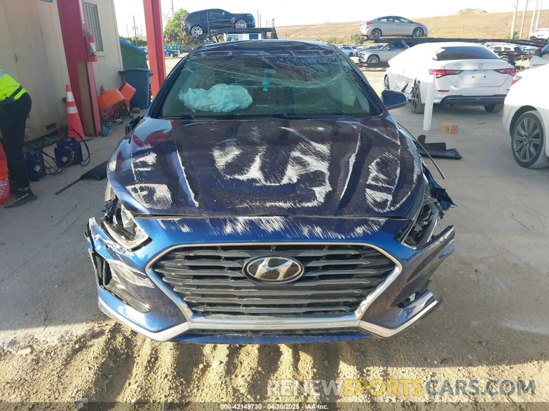 11 Photograph of a damaged car 5NPE24AF2KH780972 HYUNDAI SONATA 2019