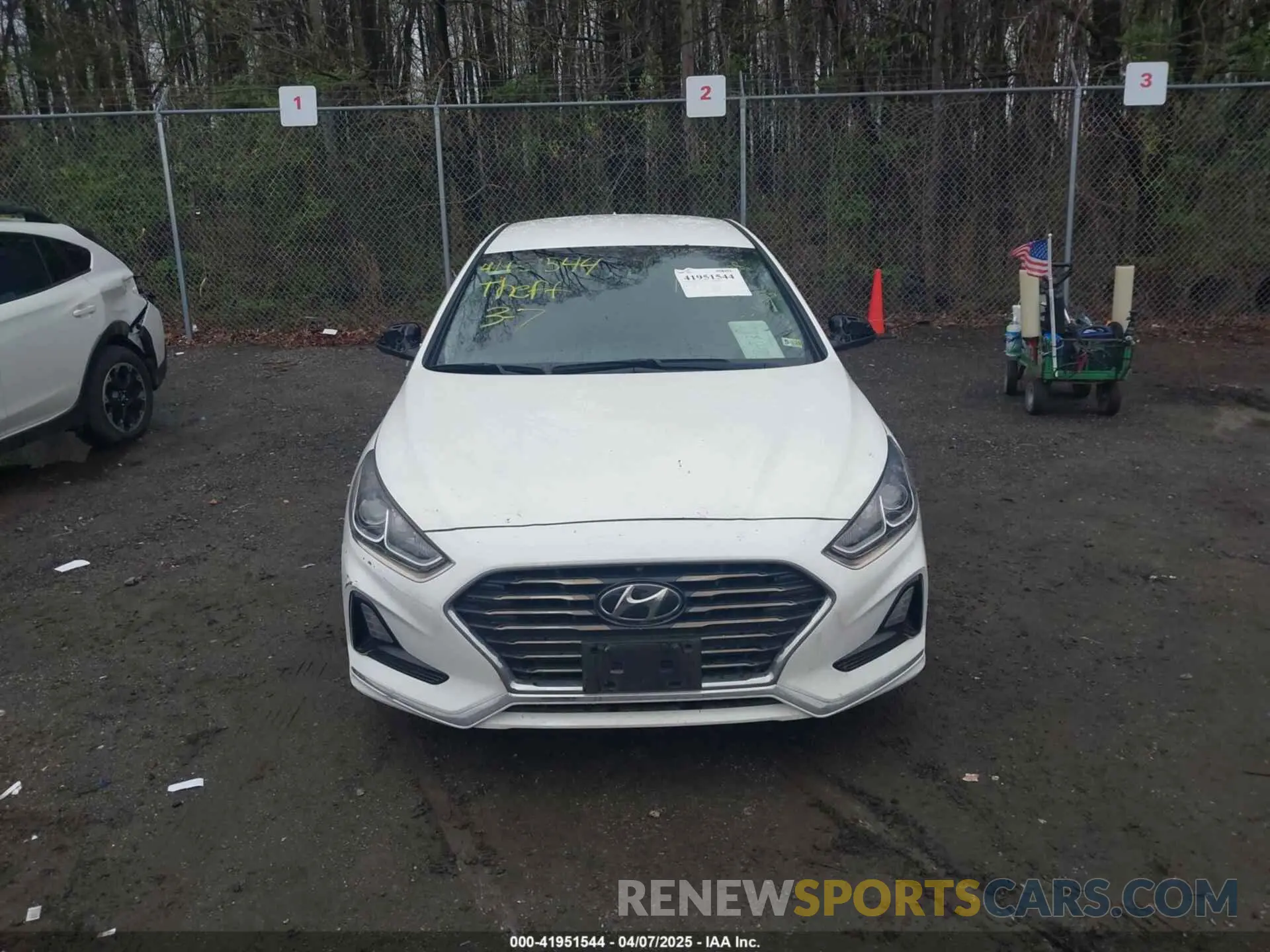 13 Photograph of a damaged car 5NPE24AF2KH788733 HYUNDAI SONATA 2019