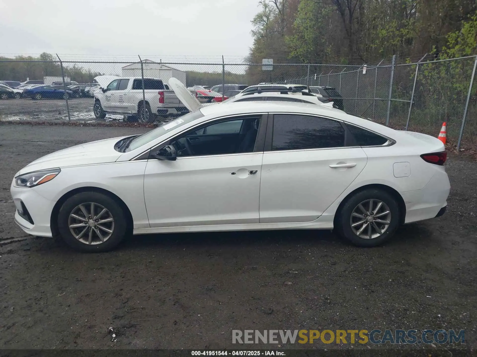 15 Photograph of a damaged car 5NPE24AF2KH788733 HYUNDAI SONATA 2019
