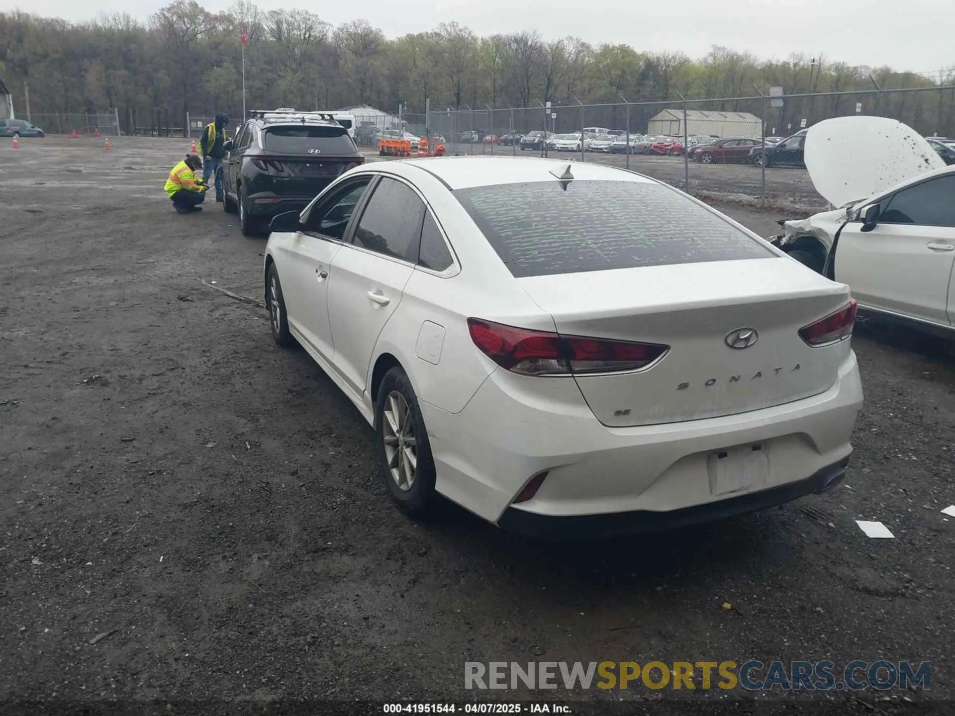 3 Photograph of a damaged car 5NPE24AF2KH788733 HYUNDAI SONATA 2019