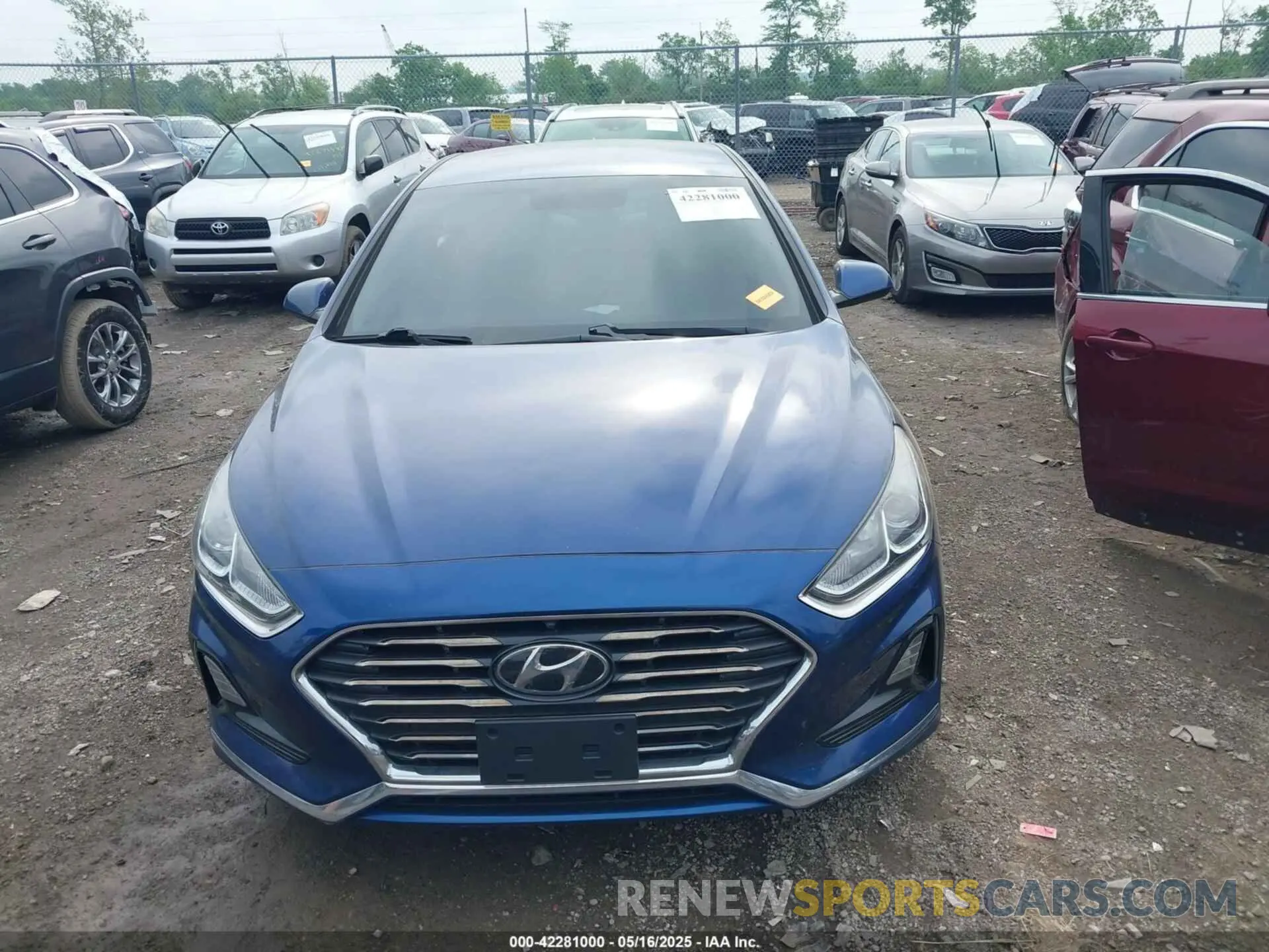 12 Photograph of a damaged car 5NPE24AF2KH789977 HYUNDAI SONATA 2019