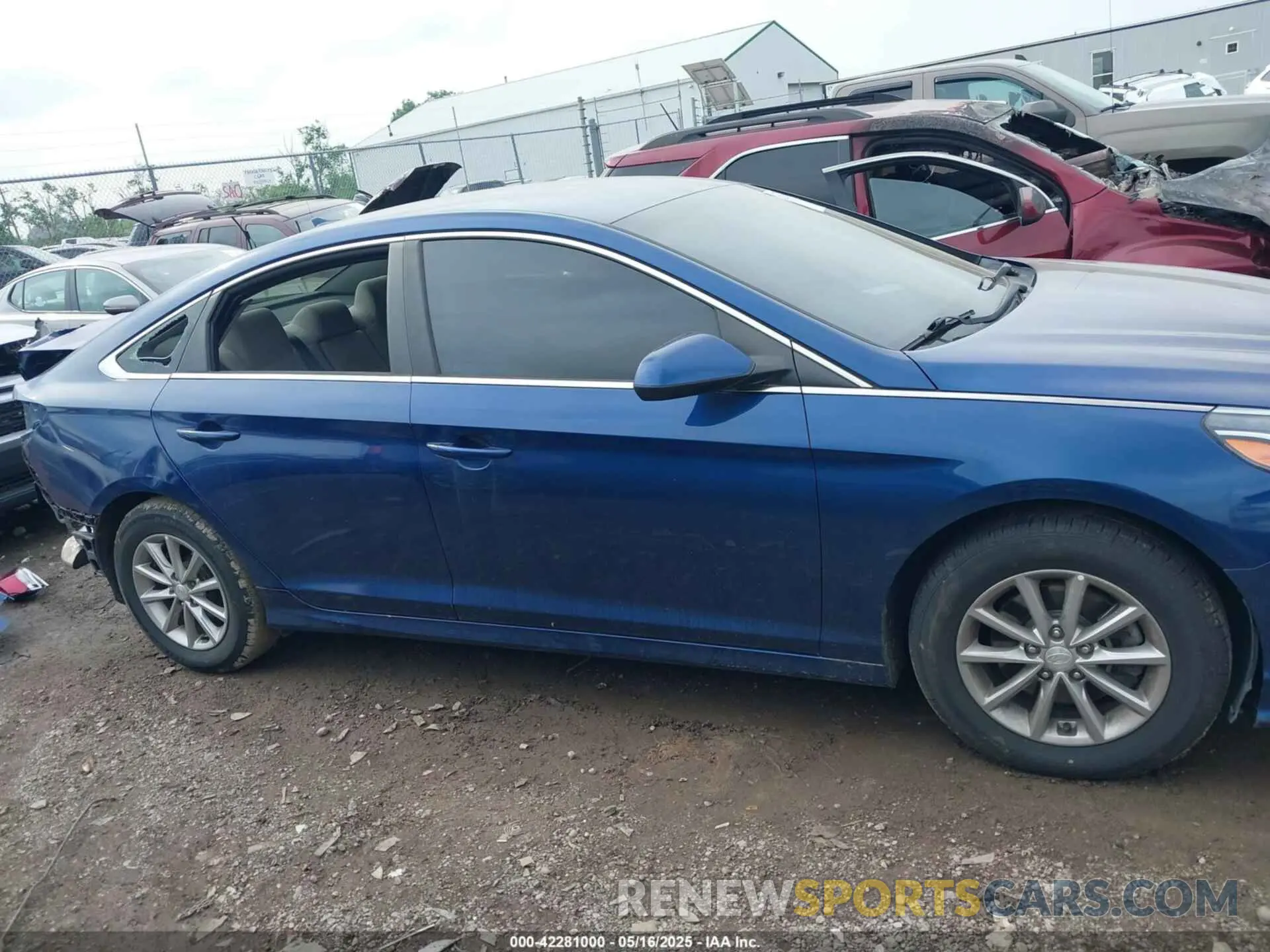 13 Photograph of a damaged car 5NPE24AF2KH789977 HYUNDAI SONATA 2019