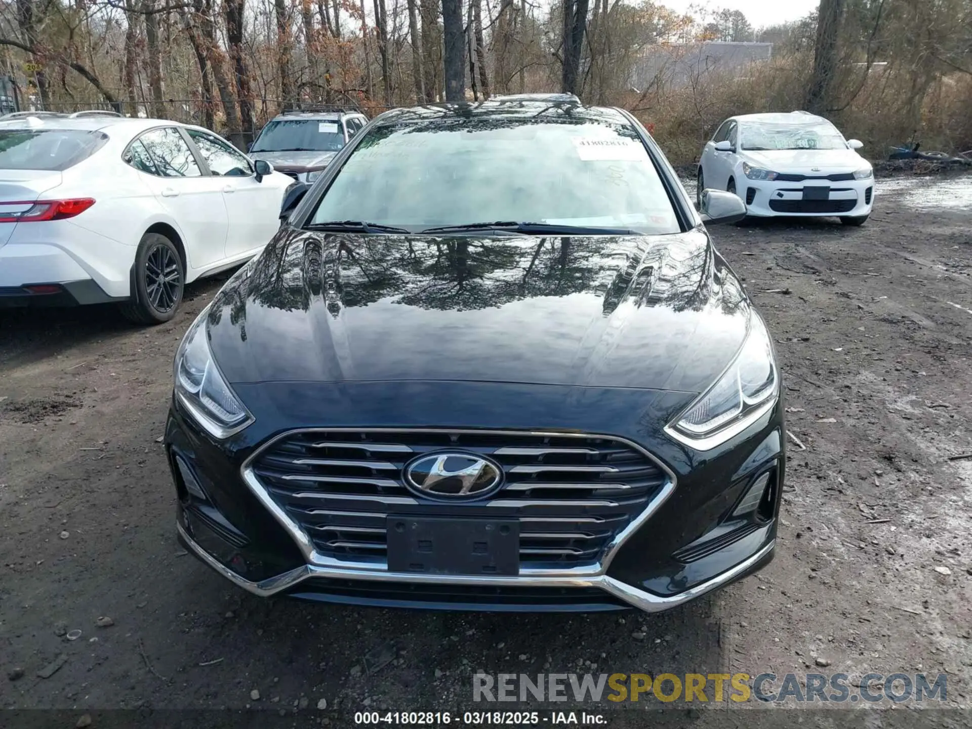 12 Photograph of a damaged car 5NPE24AF3KH729982 HYUNDAI SONATA 2019