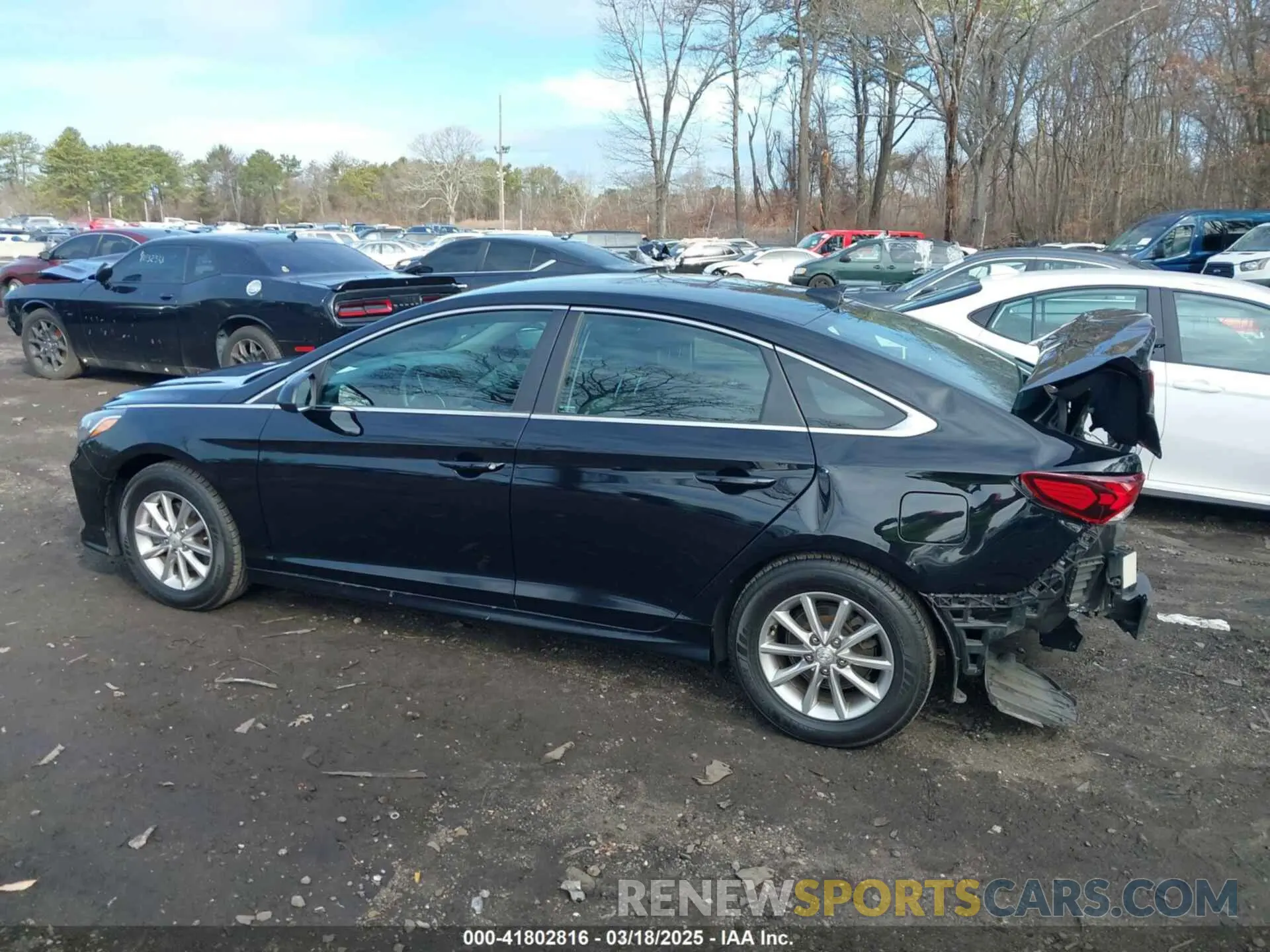 14 Photograph of a damaged car 5NPE24AF3KH729982 HYUNDAI SONATA 2019