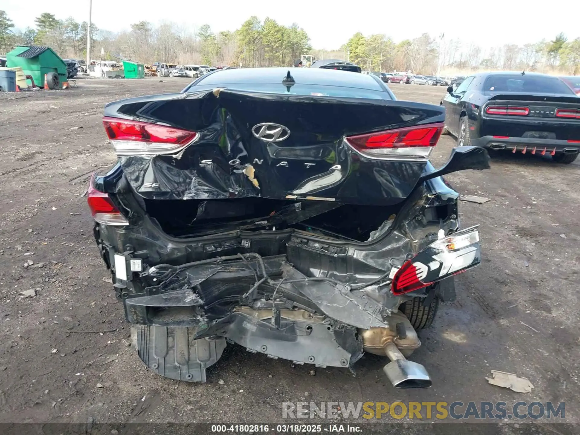 16 Photograph of a damaged car 5NPE24AF3KH729982 HYUNDAI SONATA 2019