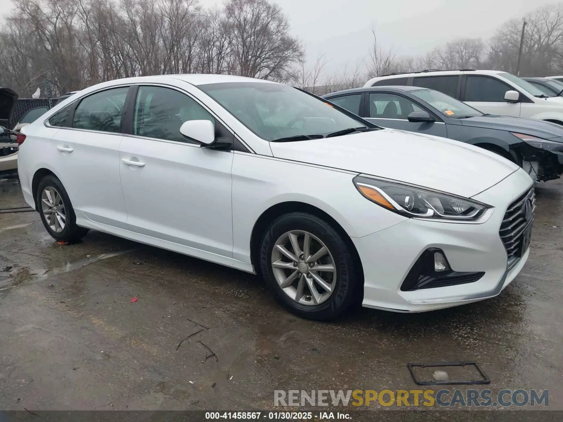 13 Photograph of a damaged car 5NPE24AF3KH746684 HYUNDAI SONATA 2019