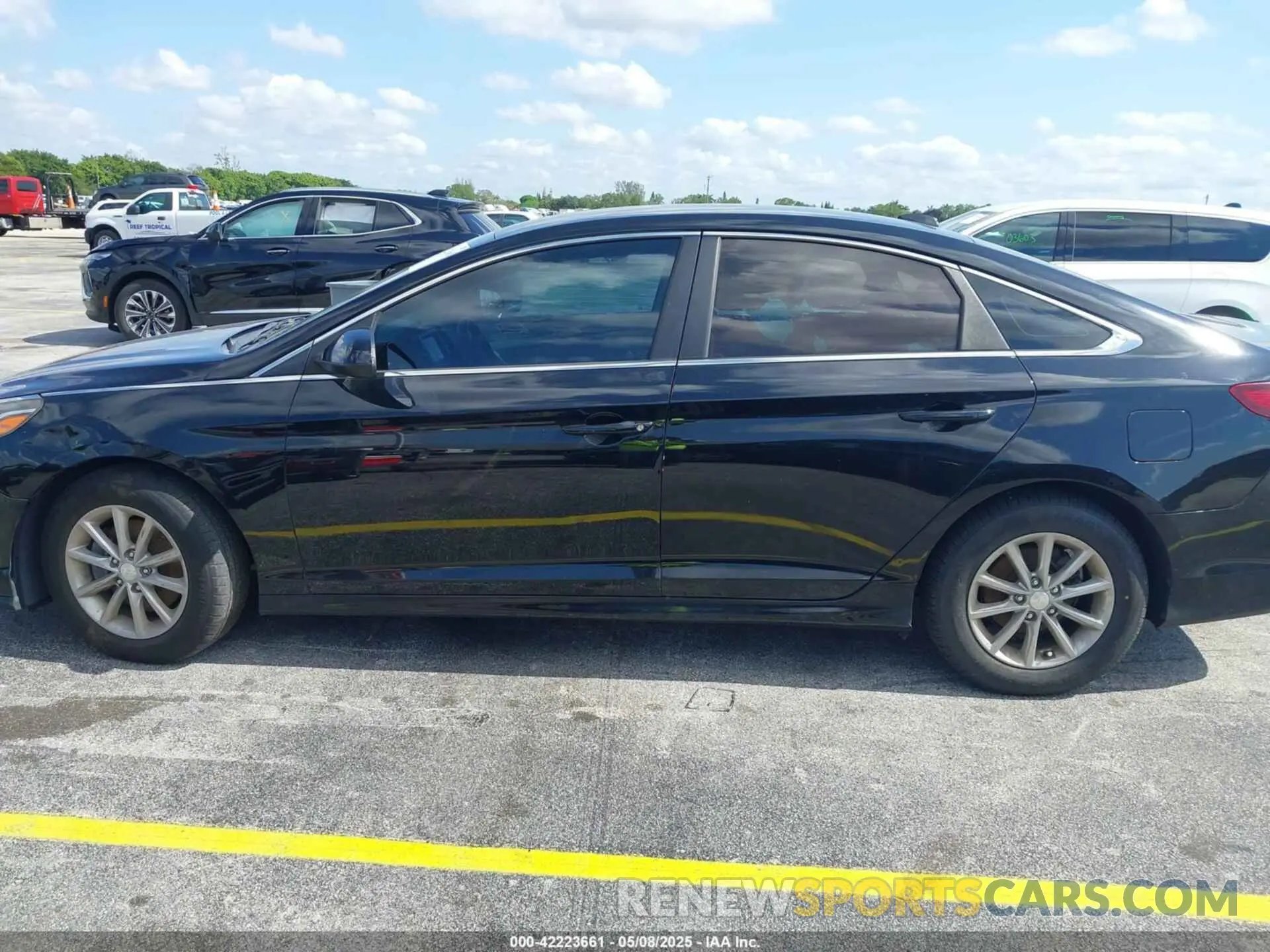 14 Photograph of a damaged car 5NPE24AF3KH759550 HYUNDAI SONATA 2019