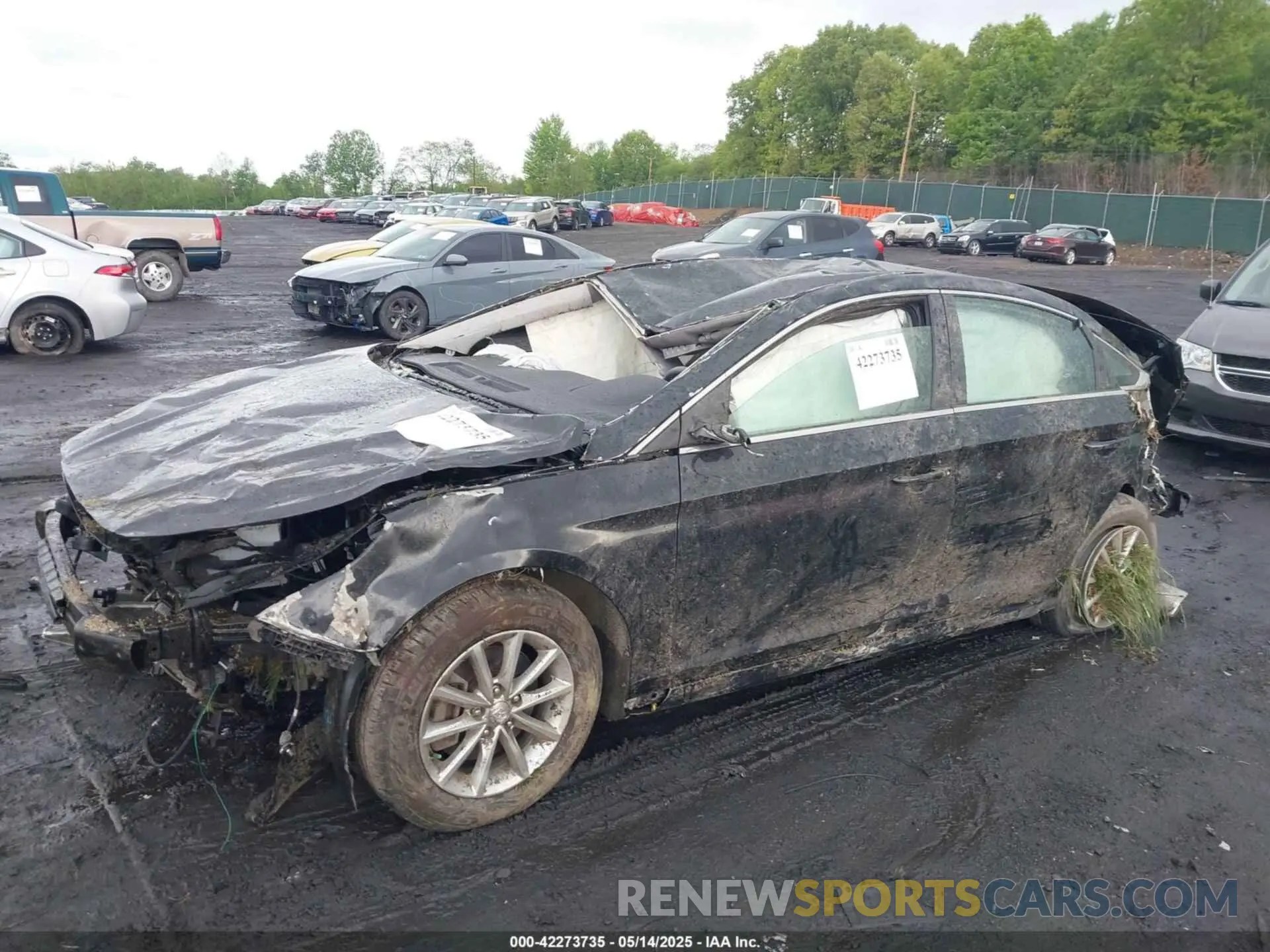 6 Photograph of a damaged car 5NPE24AF3KH780396 HYUNDAI SONATA 2019